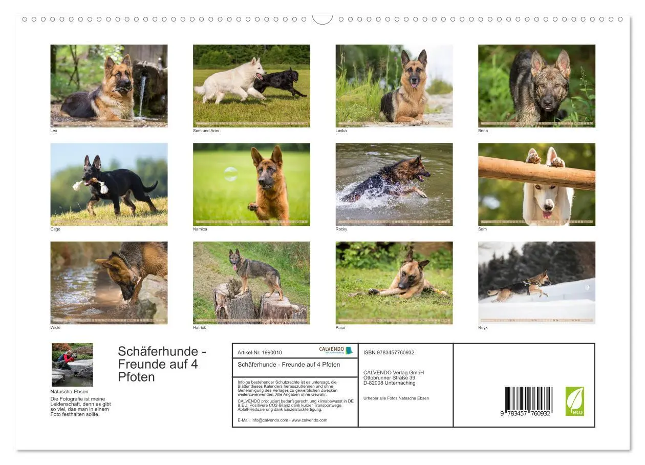 Bild: 9783457760932 | Schäferhunde - Freunde auf 4 Pfoten (hochwertiger Premium...