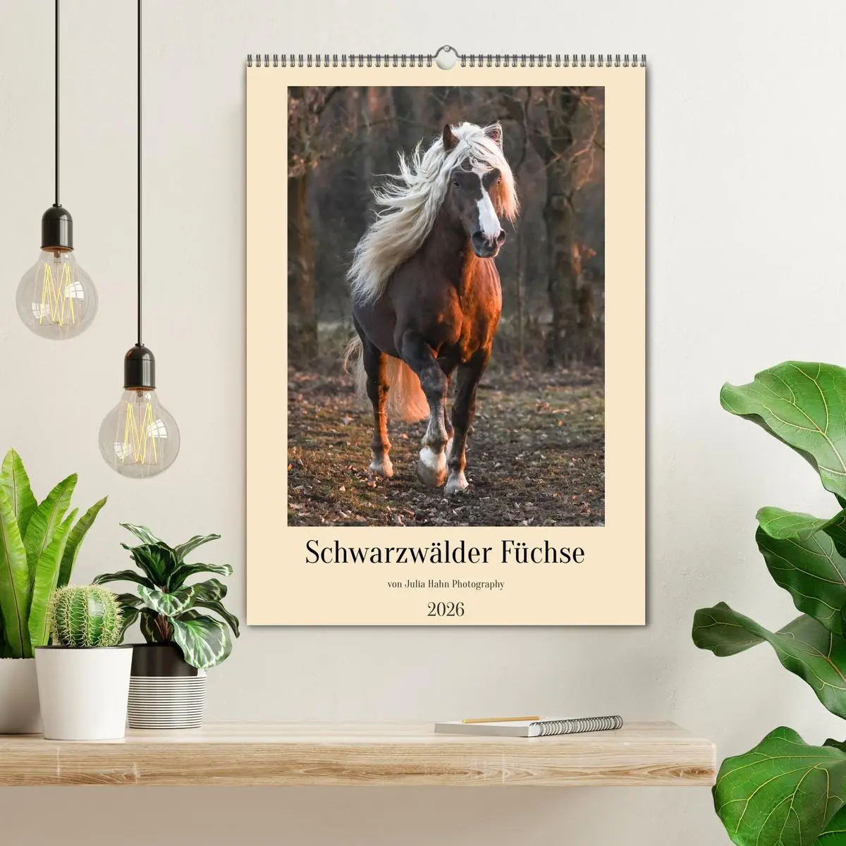Bild: 9783516300932 | Schwarzwälder Füchse von Julia Hahn Photography (Wandkalender 2026...