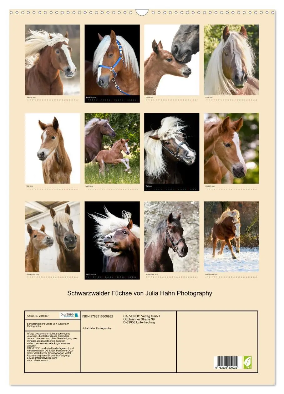 Bild: 9783516300932 | Schwarzwälder Füchse von Julia Hahn Photography (Wandkalender 2026...