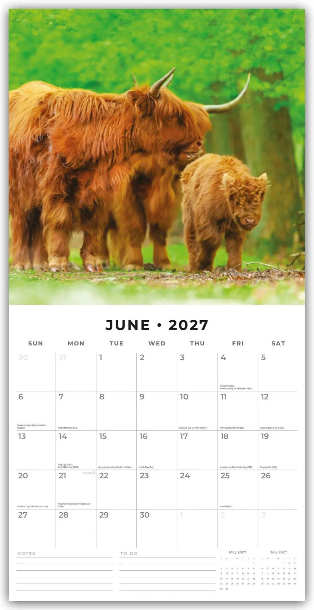 Bild: 9781837011032 | Highland Cows - Hochland Kühe 2027 - 16-Monatskalender | Robin Red