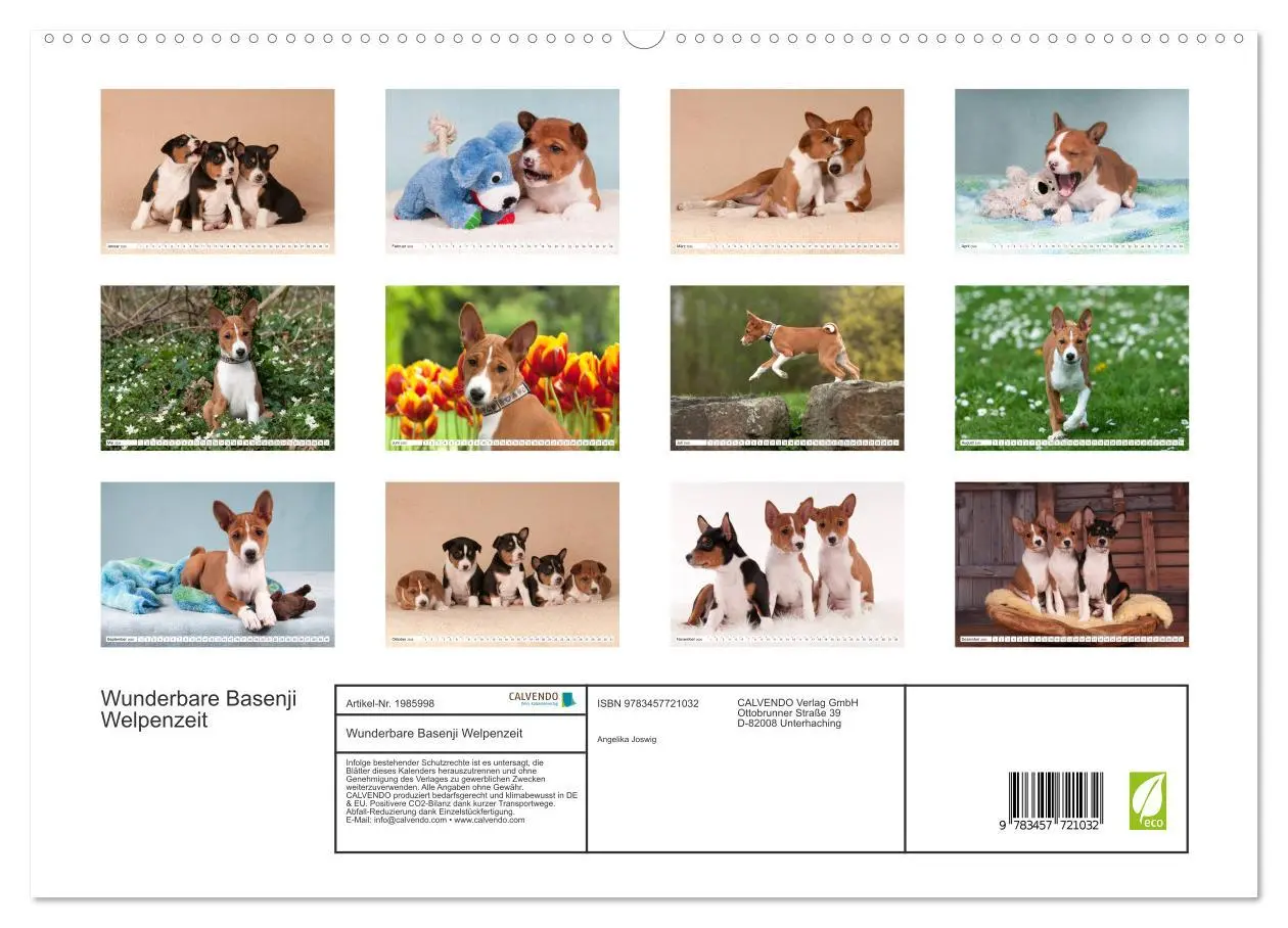 Bild: 9783457721032 | Wunderbare Basenji Welpenzeit (hochwertiger Premium Wandkalender...