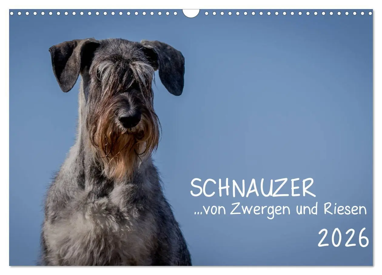 Cover: 9783457891032 | Schnauzer... von Zwergen und Riesen 2026 (Wandkalender 2026 DIN A3...