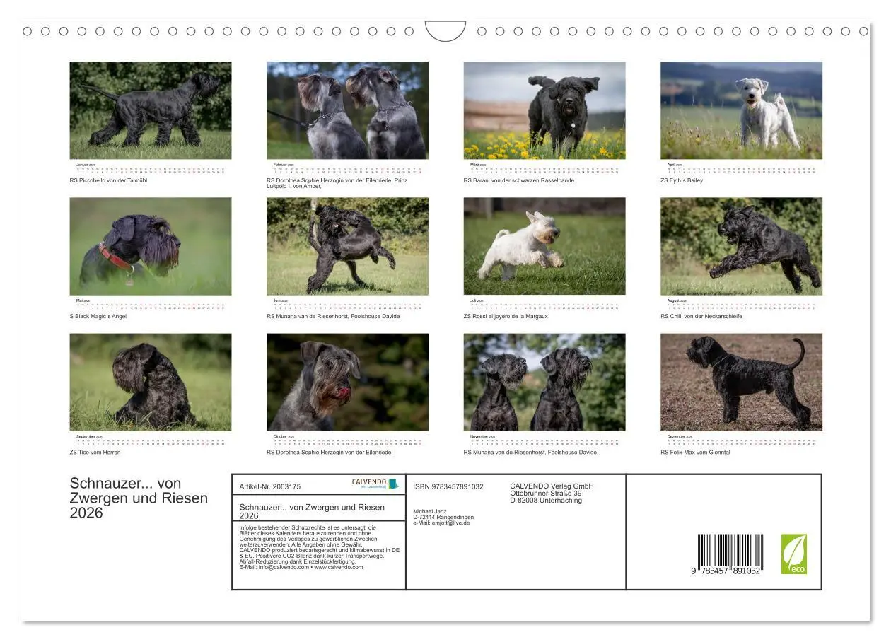 Bild: 9783457891032 | Schnauzer... von Zwergen und Riesen 2026 (Wandkalender 2026 DIN A3...