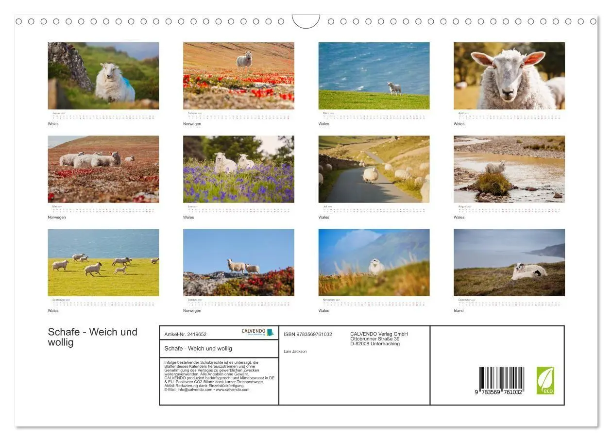 Bild: 9783569761032 | Schafe - Weich und wollig (Wandkalender 2027 DIN A3 quer), CALVENDO...