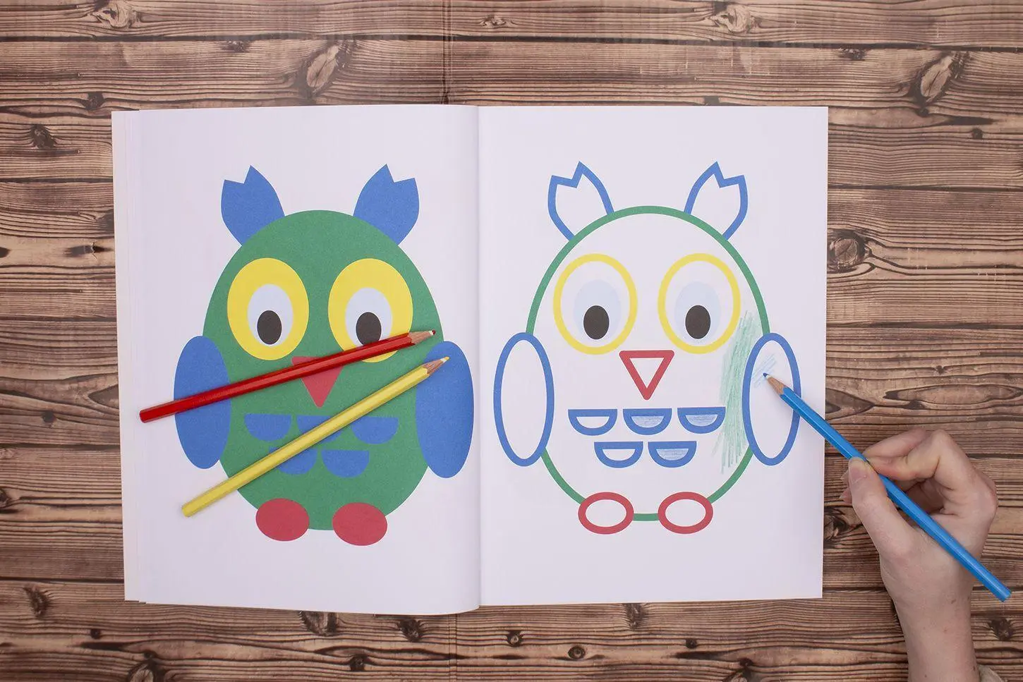 Bild: 9783743211032 | Mein großes buntes Ausmalbuch (Eule) | Loewe Kreativ | Taschenbuch