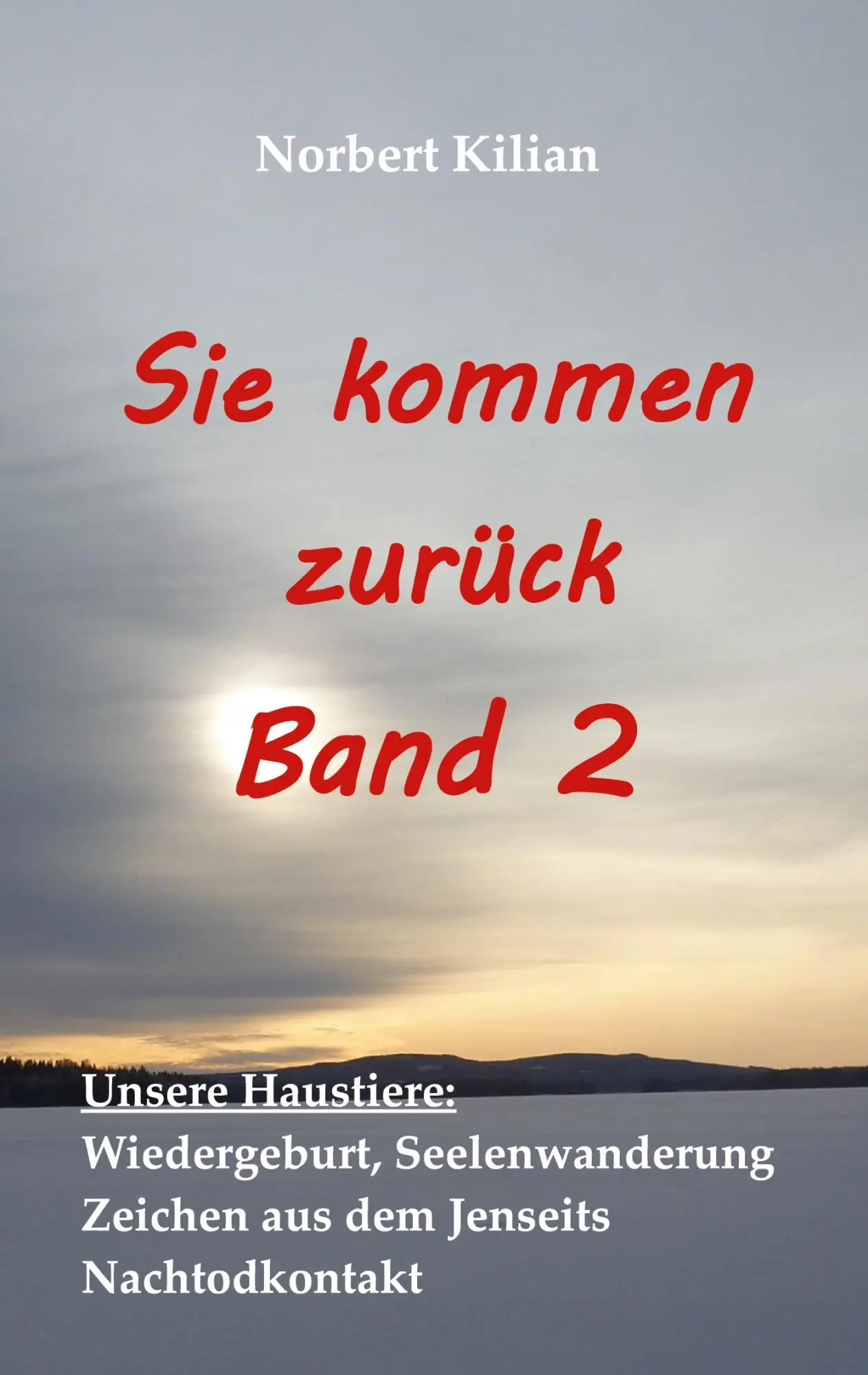 Cover: 9783753421032 | Sie kommen zurück Band 2 | Norbert Kilian | Taschenbuch | Paperback