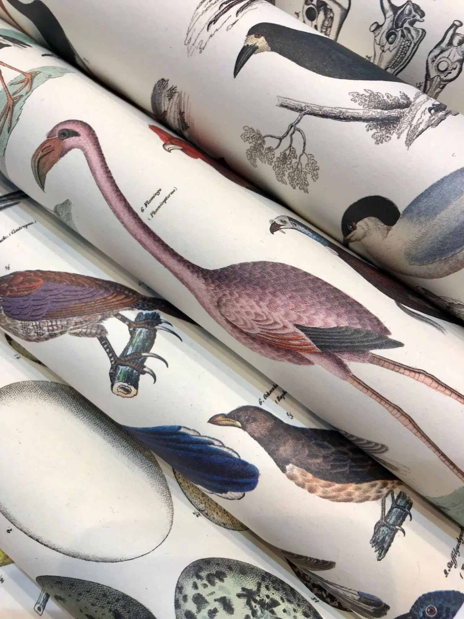 Bild: 9789460091032 | Fauna | Gift &amp; Creative Paper Book Vol. 90 | Pepin Van Roojen | Buch