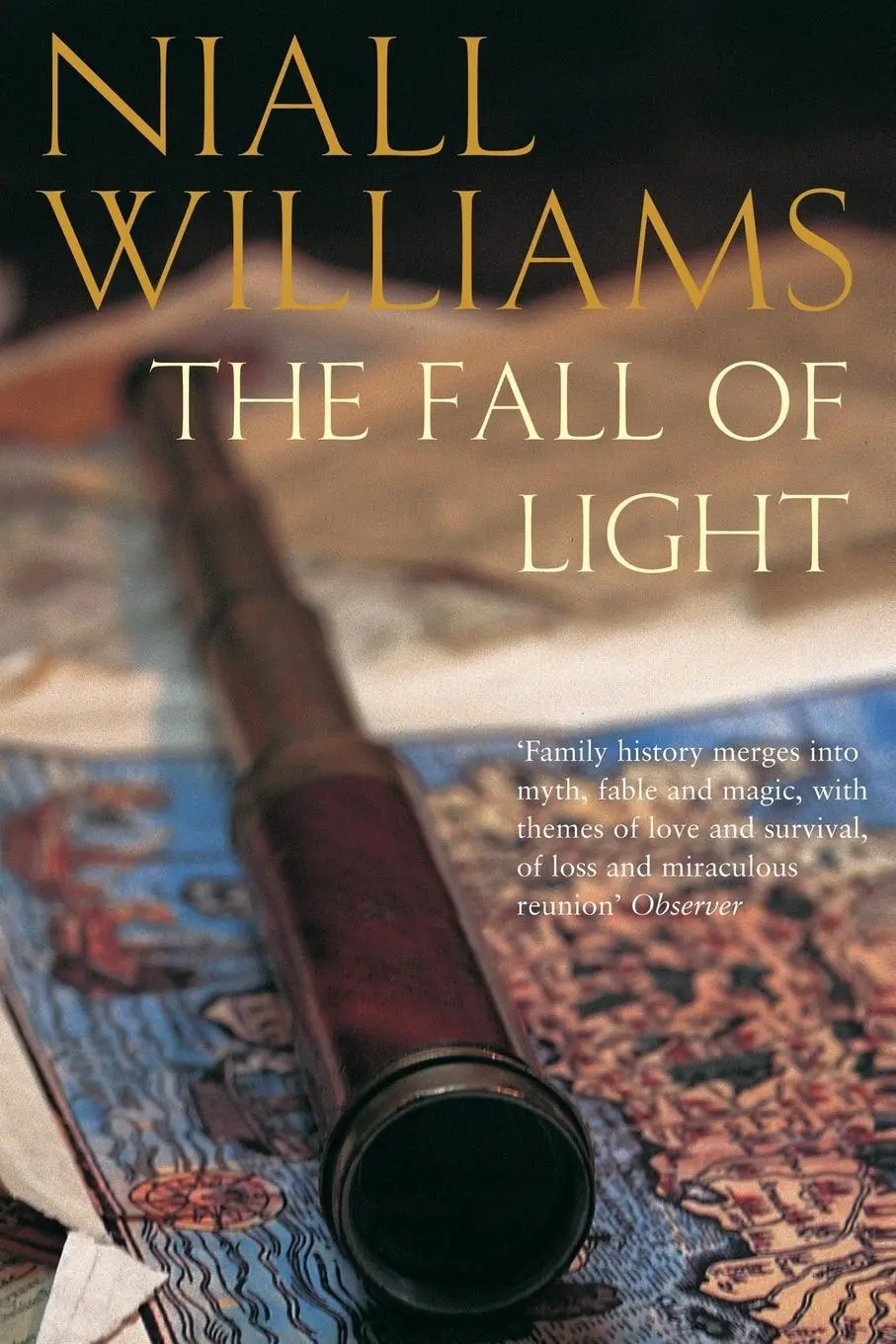 Cover: 9781447251132 | The Fall of Light | Niall Williams | Taschenbuch | Englisch | 2013