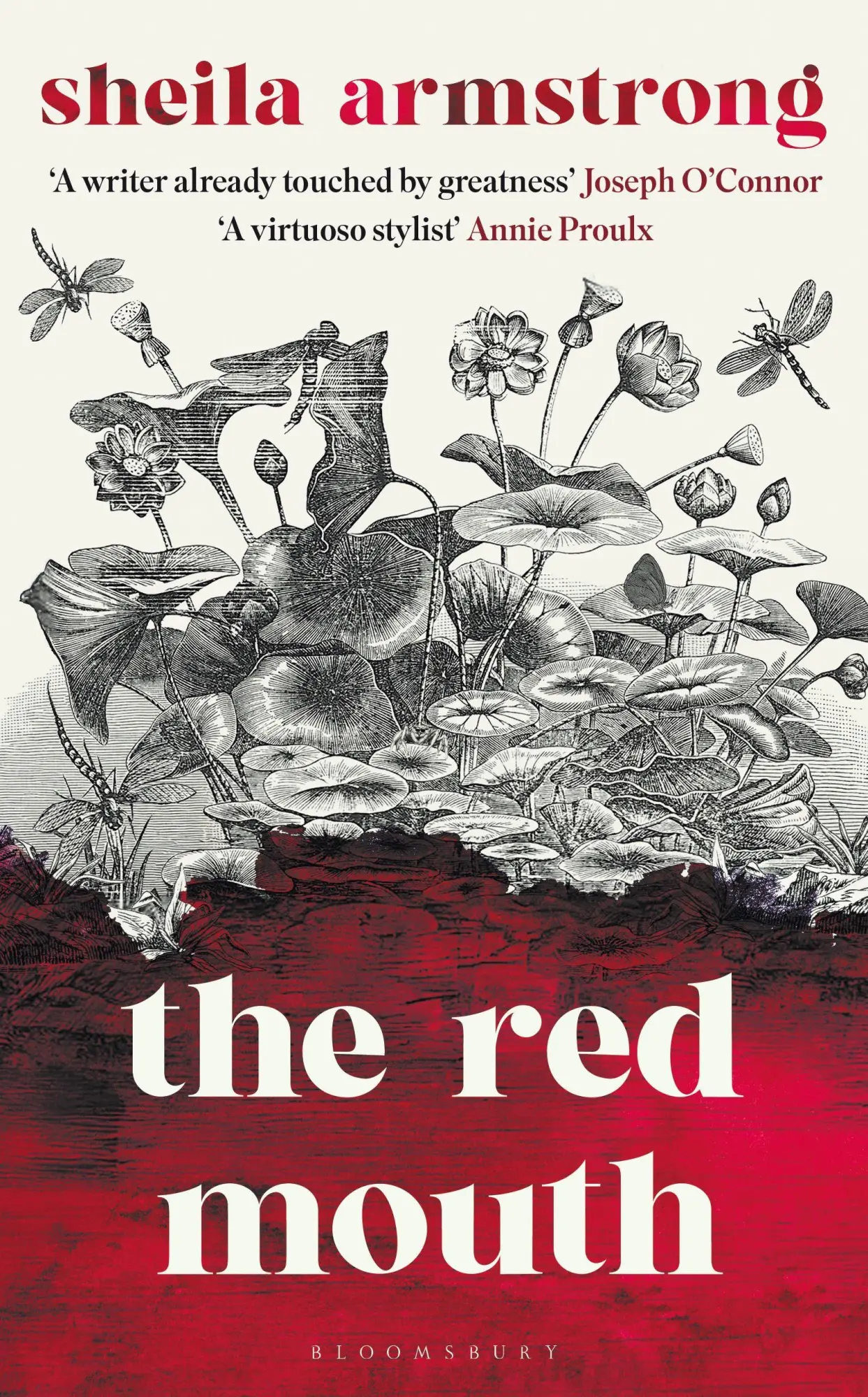 Cover: 9781526691132 | The Red Mouth | Sheila Armstrong | Taschenbuch | Englisch | 2026