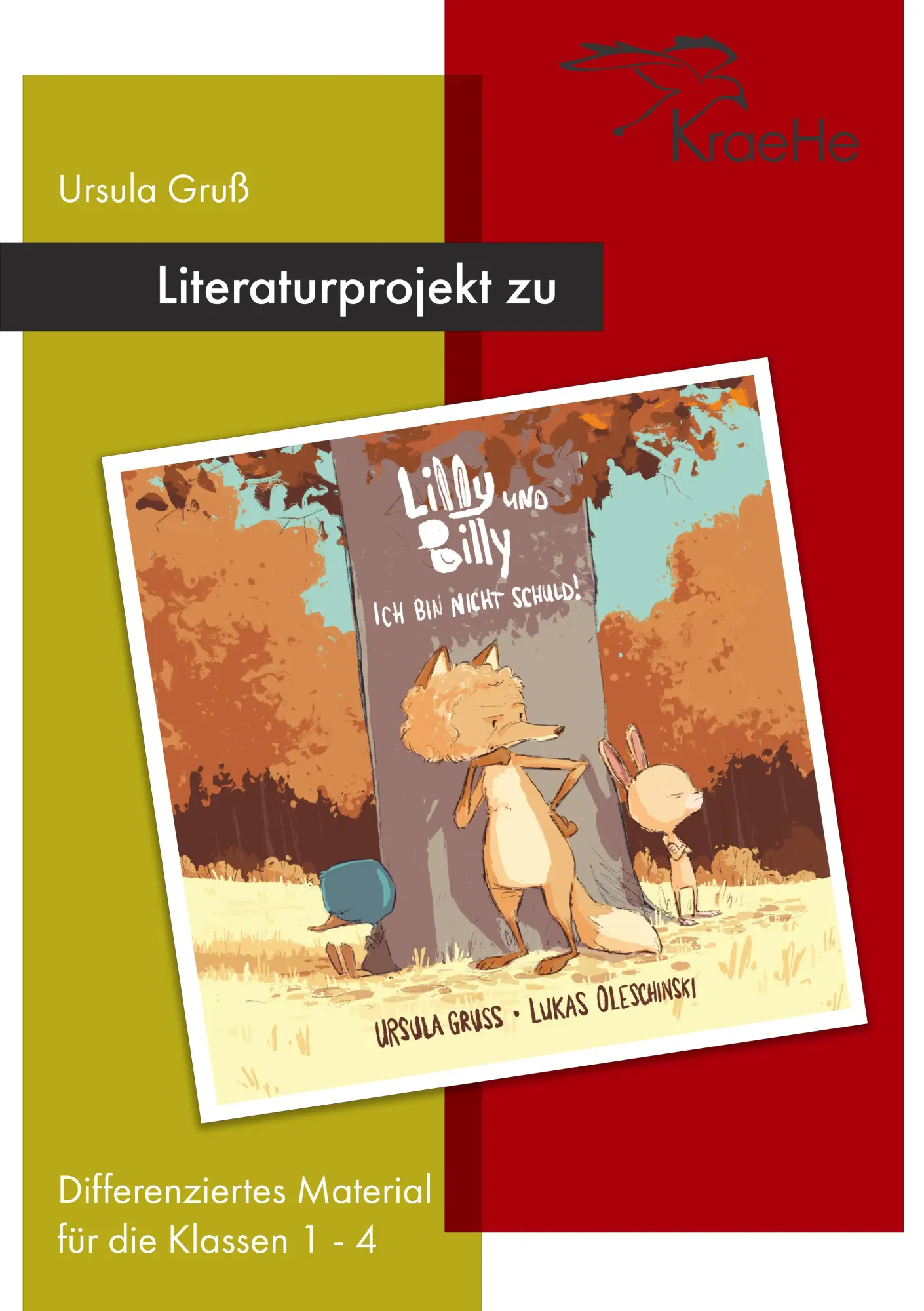 Cover: 9783910511132 | Literaturprojekt zu Lilly und Billy - Ich bin nicht schuld! | Buch