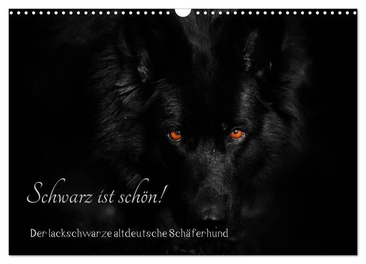 Cover: 9783516031232 | Schwarz ist schön! Der lackschwarze altdeutsche Schäferhund...