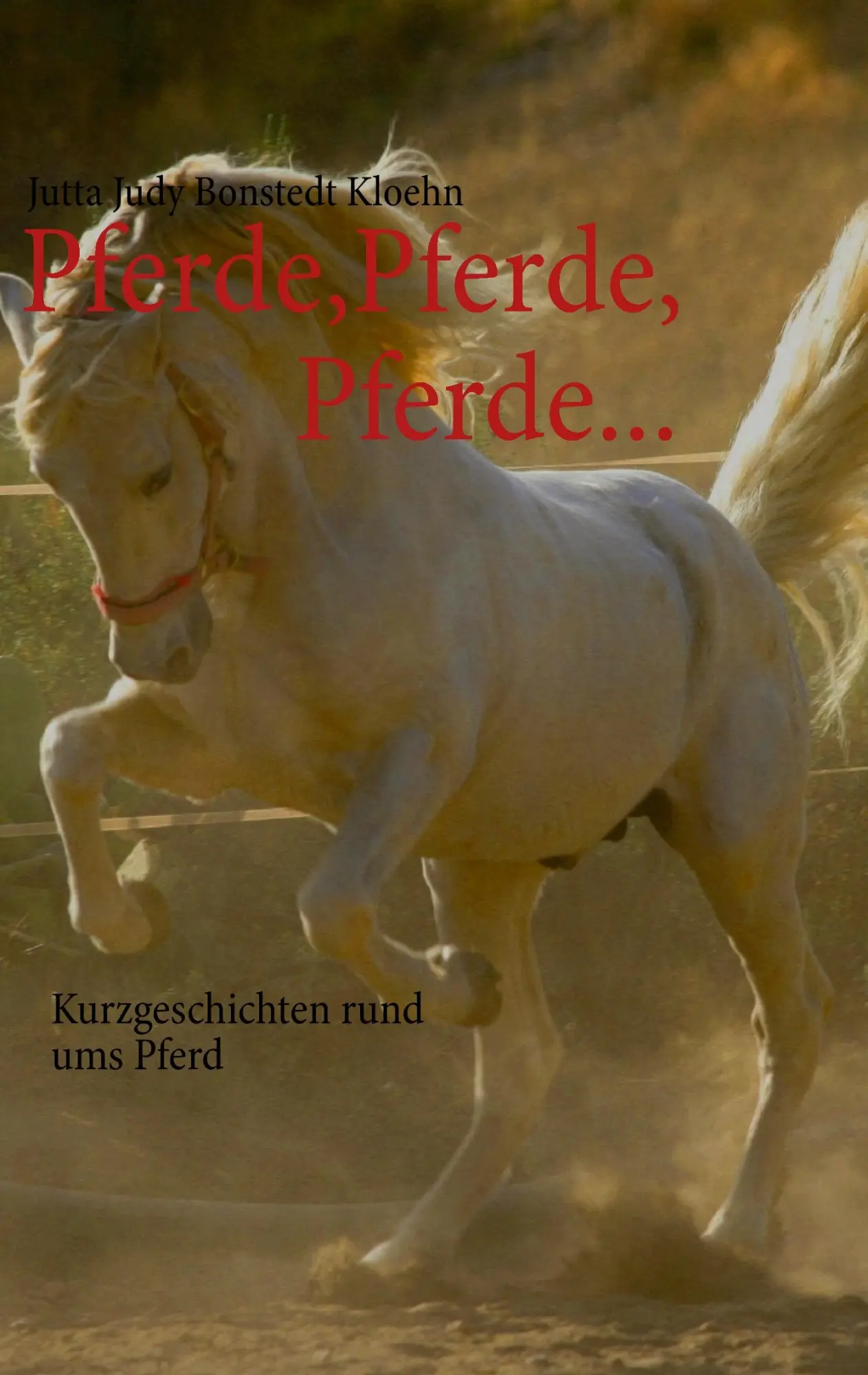 Cover: 9783732231232 | Pferde, Pferde, Pferde... | Kurzgeschichten rund ums Pferd | Kloehn