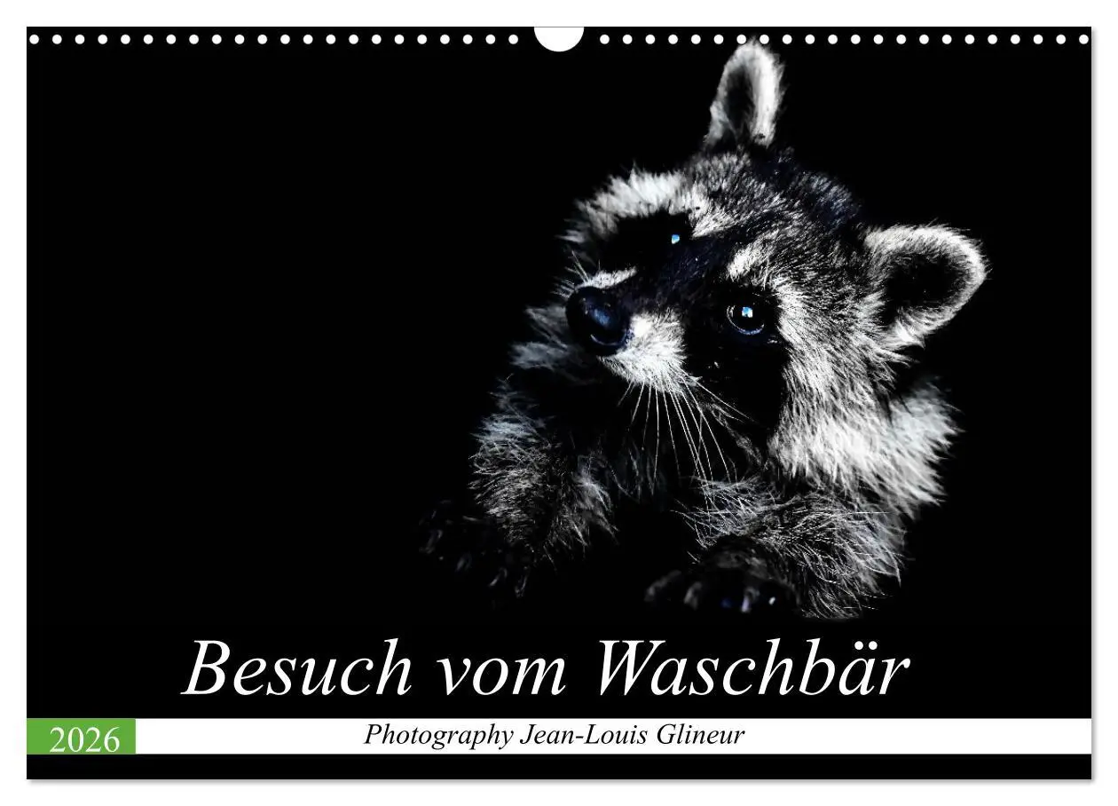 Cover: 9783457791332 | Besuch vom Waschbär (Wandkalender 2026 DIN A3 quer), CALVENDO...
