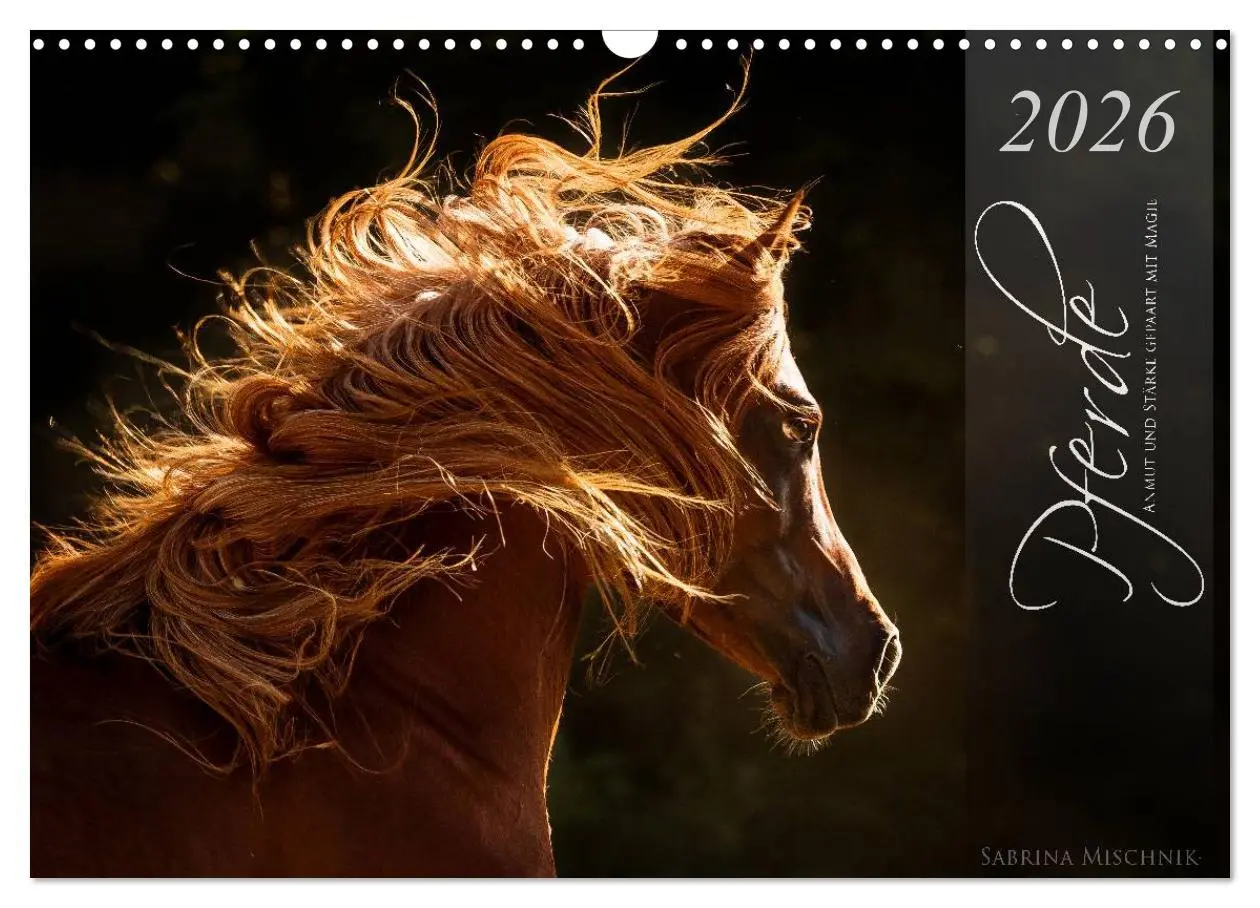 Cover: 9783516021332 | Pferde - Anmut und Stärke gepaart mit Magie (Wandkalender 2026 DIN...