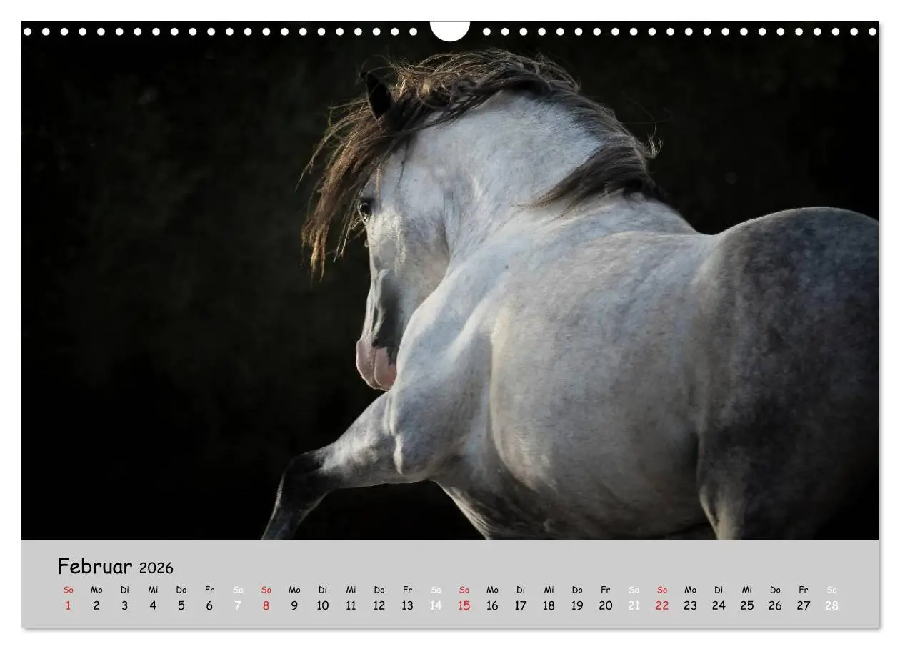 Bild: 9783516021332 | Pferde - Anmut und Stärke gepaart mit Magie (Wandkalender 2026 DIN...