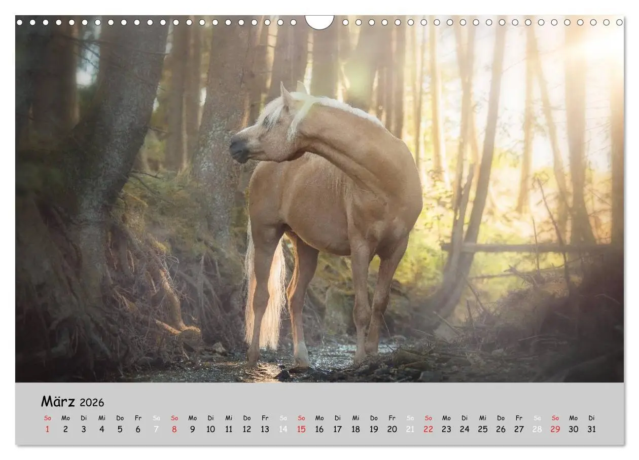 Bild: 9783516021332 | Pferde - Anmut und Stärke gepaart mit Magie (Wandkalender 2026 DIN...