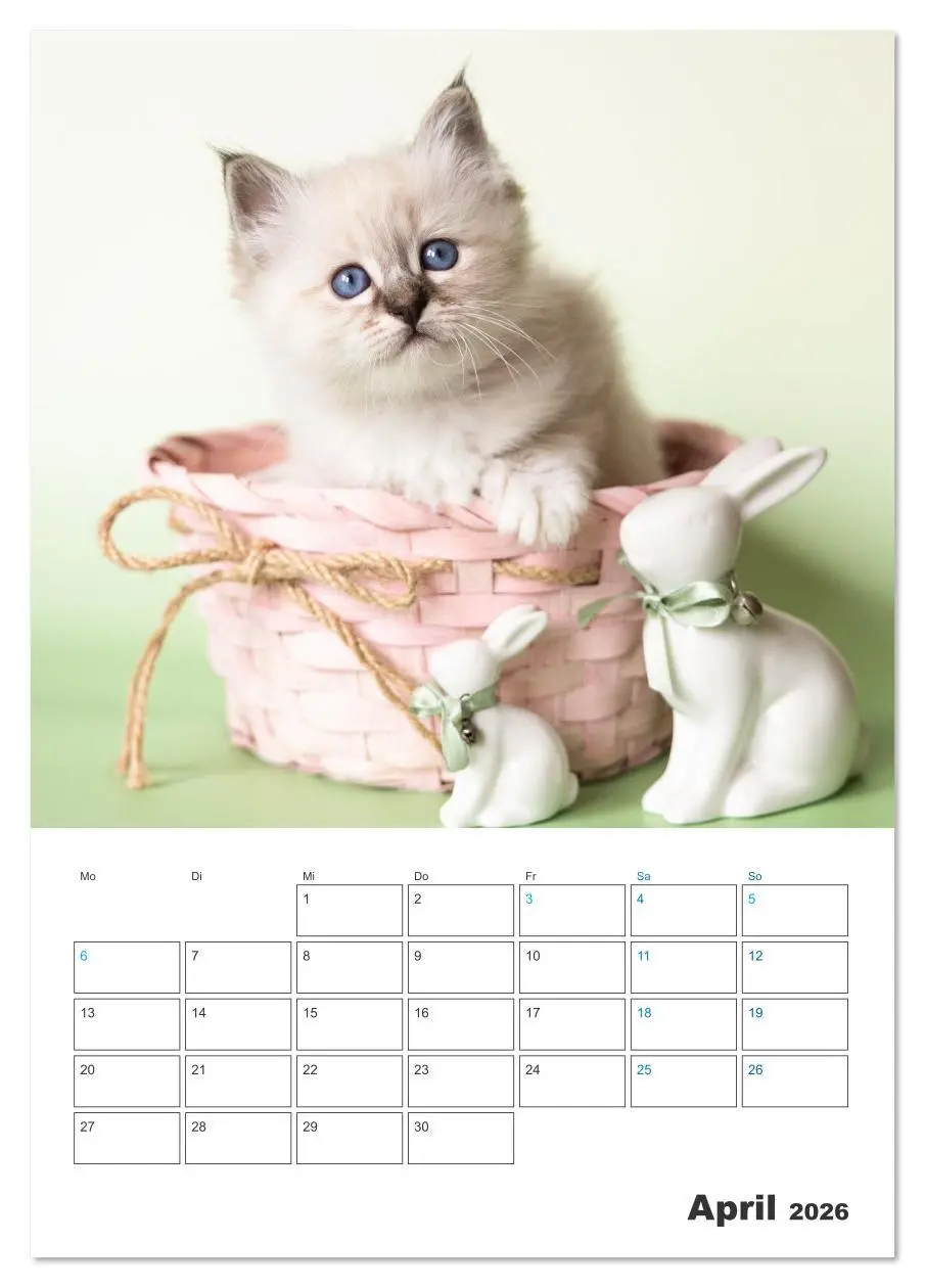 Bild: 9783516641332 | Heilige Birma Kitten Kalender mit Planer (Tischkalender 2026 DIN A5...