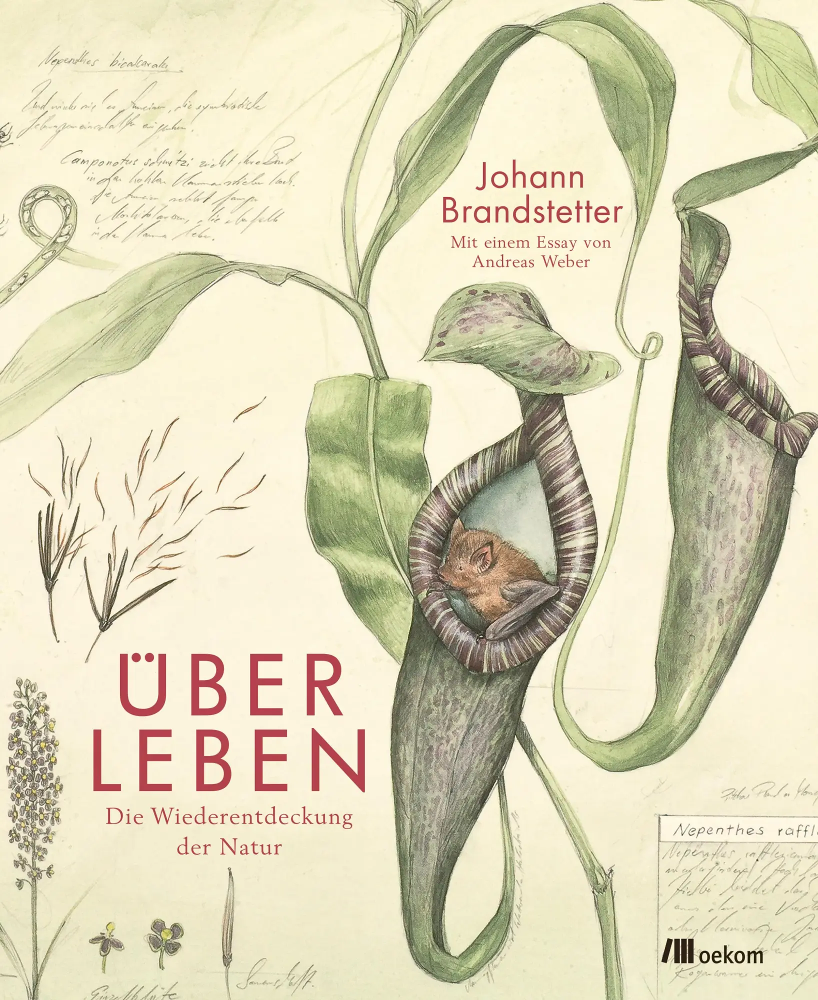 Cover: 9783962381332 | Über Leben | Die Wiederentdeckung der Natur | Brandstetter (u. a.)
