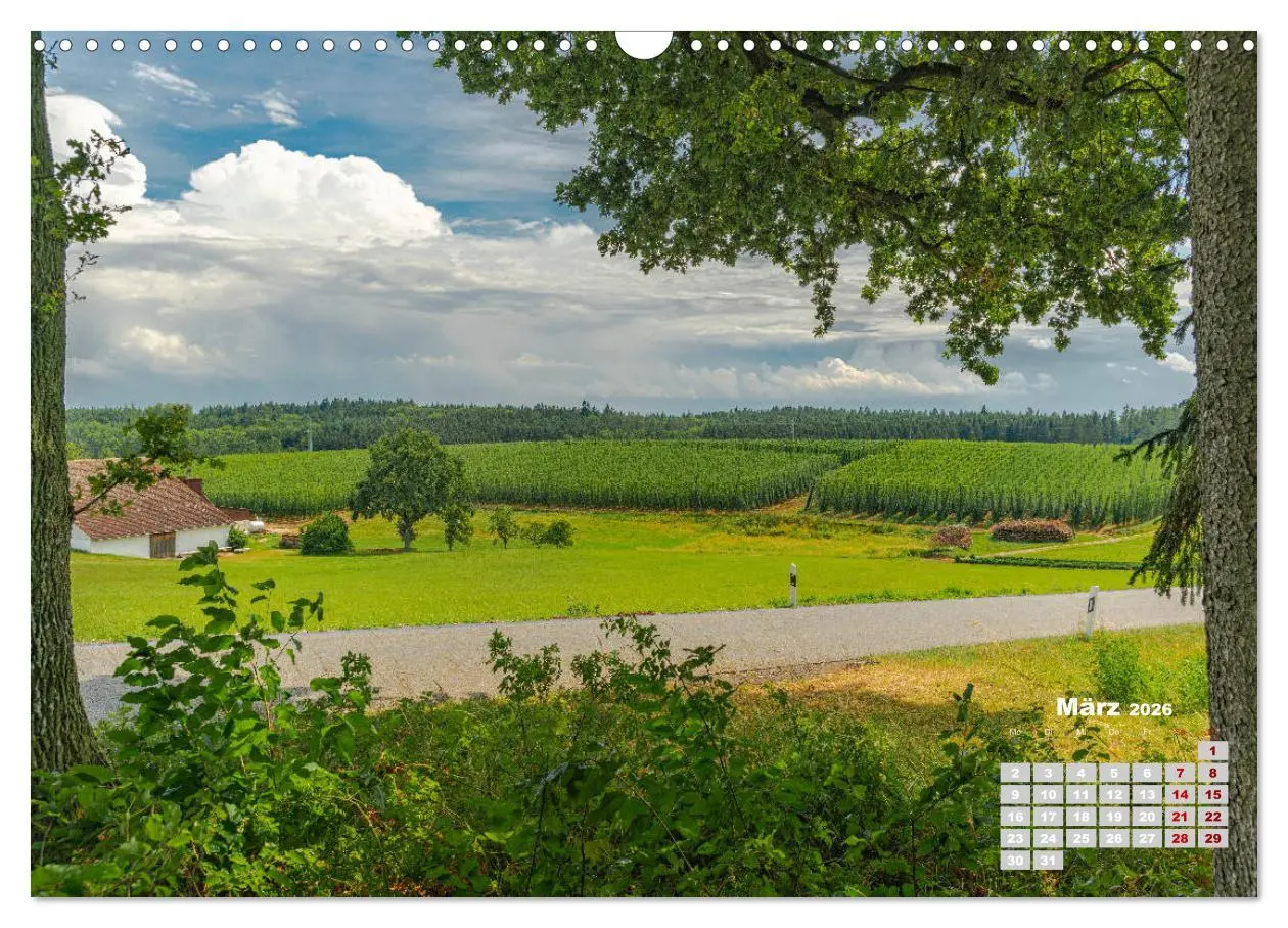 Bild: 9783457781432 | Hopfenland Holledau (Wandkalender 2026 DIN A3 quer), CALVENDO...