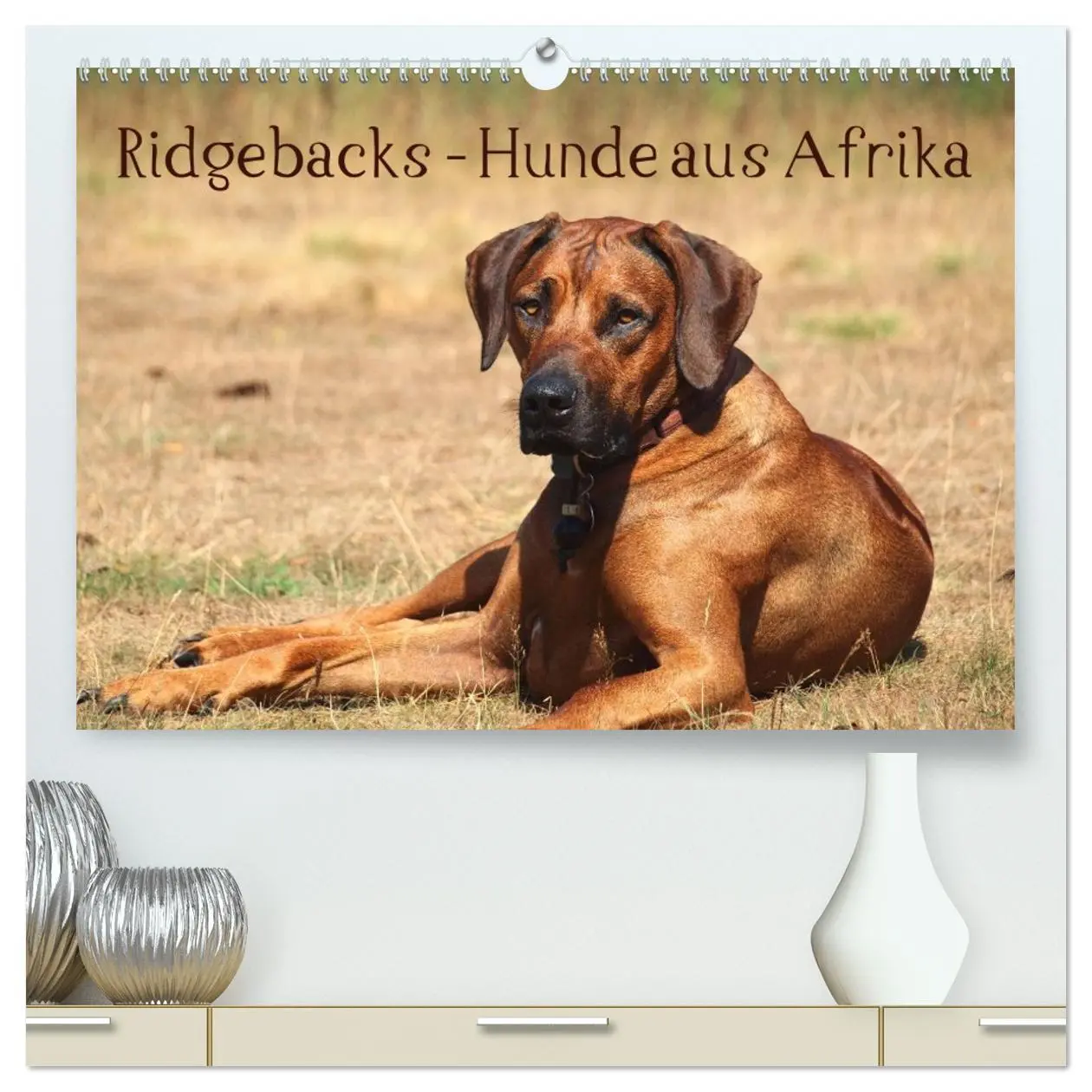 Cover: 9783516011432 | Ridgebacks - Hunde aus Afrika (hochwertiger Premium Wandkalender...