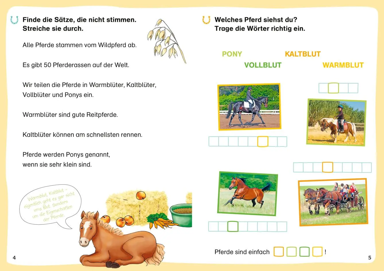 Bild: 9783788681432 | WAS IST WAS Erstes Lesen. Leserätsel Pferde und Ponys | Braun | 48 S.