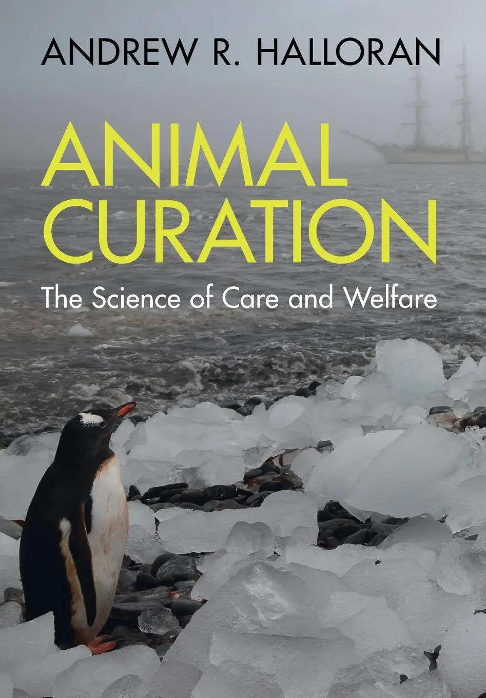 Cover: 9781009181532 | Animal Curation | Andrew R. Halloran | Taschenbuch | Englisch | 2025