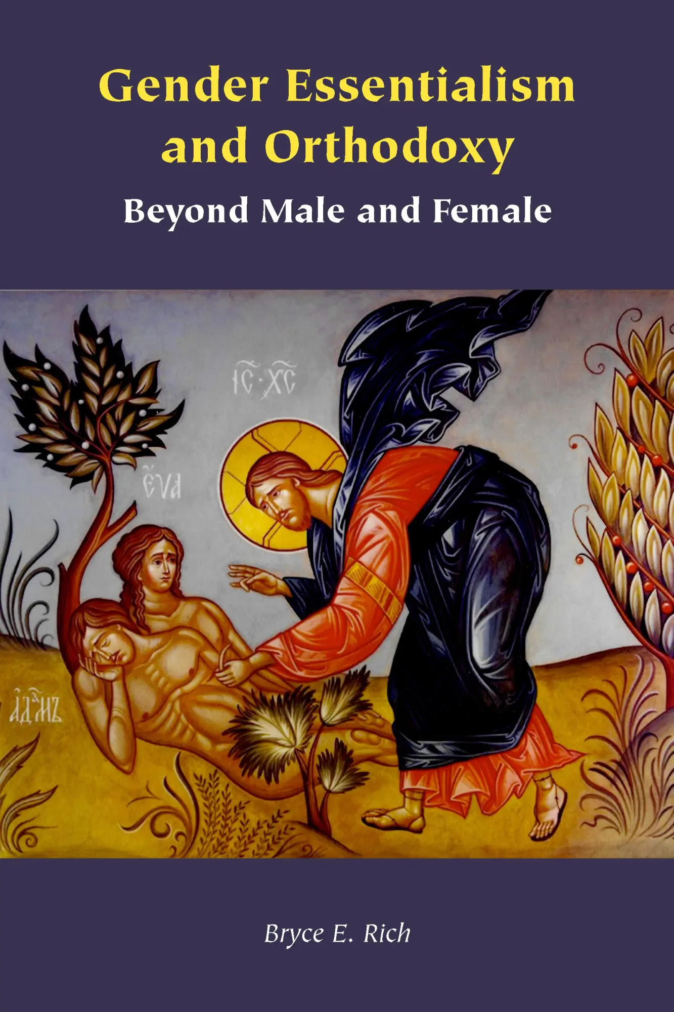 Cover: 9781531501532 | Gender Essentialism and Orthodoxy | Beyond Male and Female | Rich