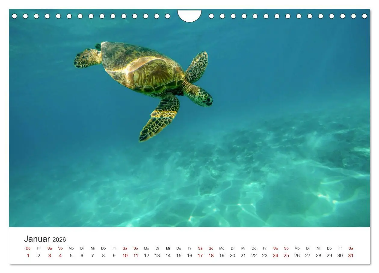 Bild: 9783457601532 | Hawaii - Wunderschöne Einblicke in das Naturparadies. (Wandkalender...