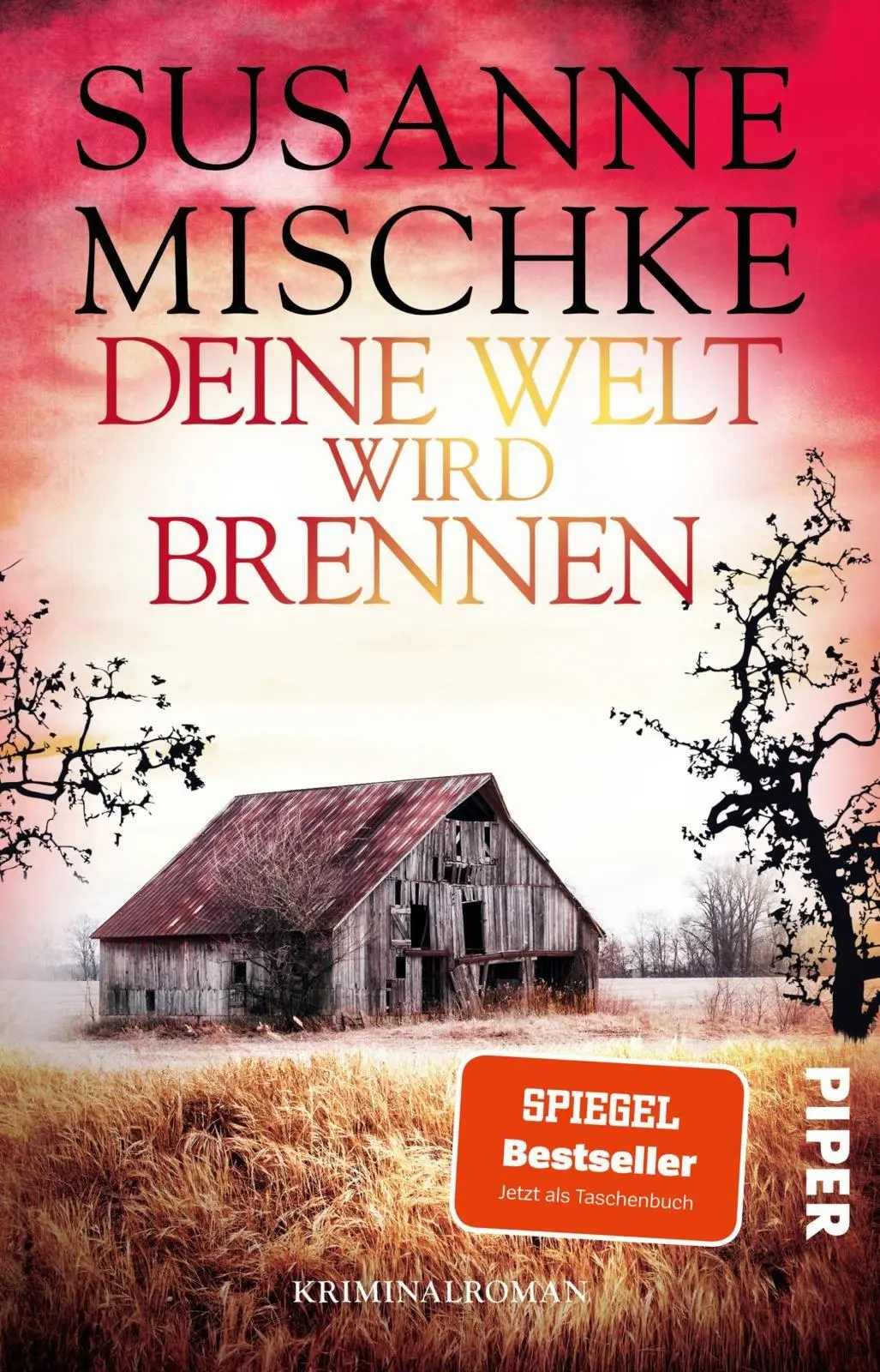 Cover: 9783492321532 | Deine Welt wird brennen | Susanne Mischke | Taschenbuch | 304 S.