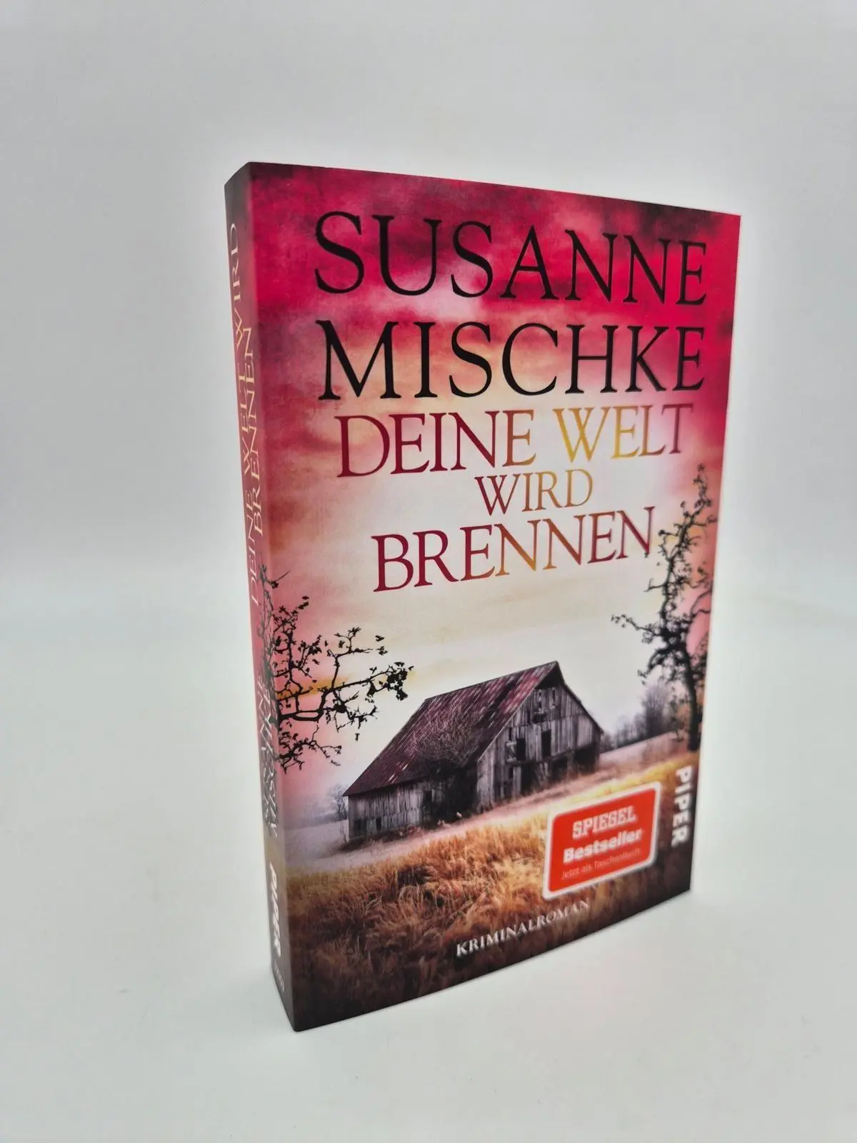 Bild: 9783492321532 | Deine Welt wird brennen | Susanne Mischke | Taschenbuch | 304 S.