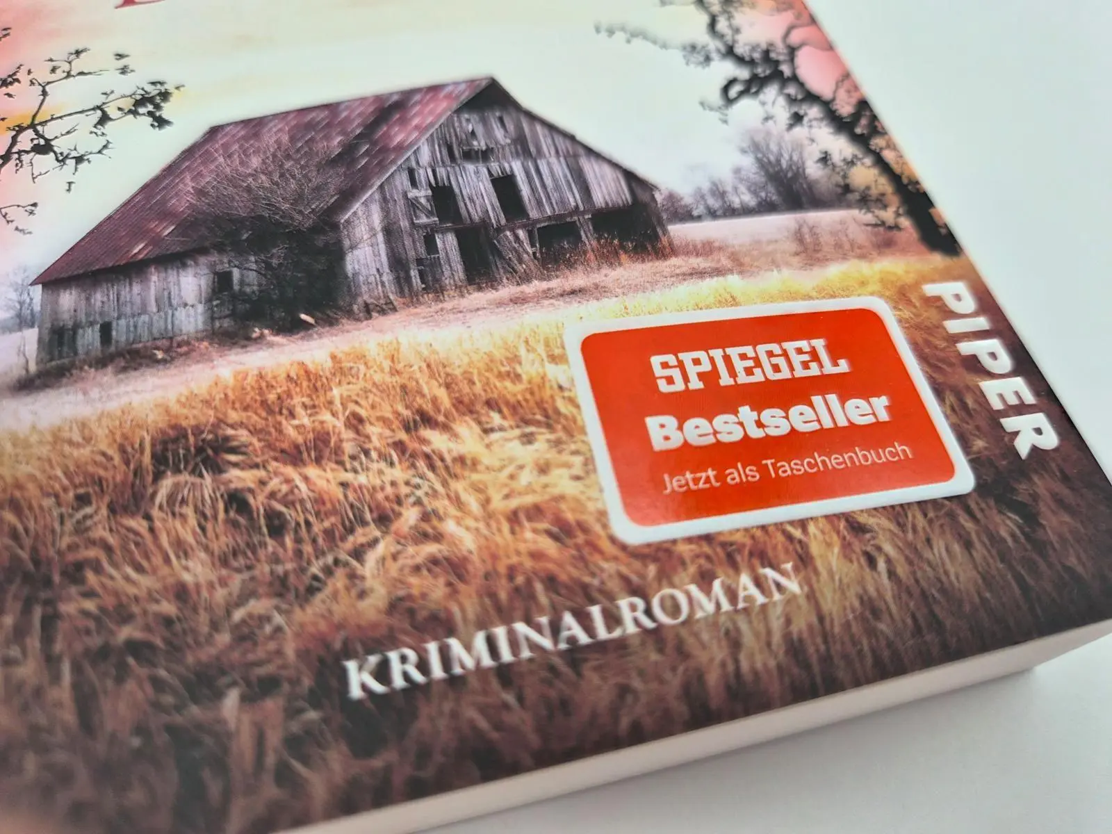 Bild: 9783492321532 | Deine Welt wird brennen | Susanne Mischke | Taschenbuch | 304 S.