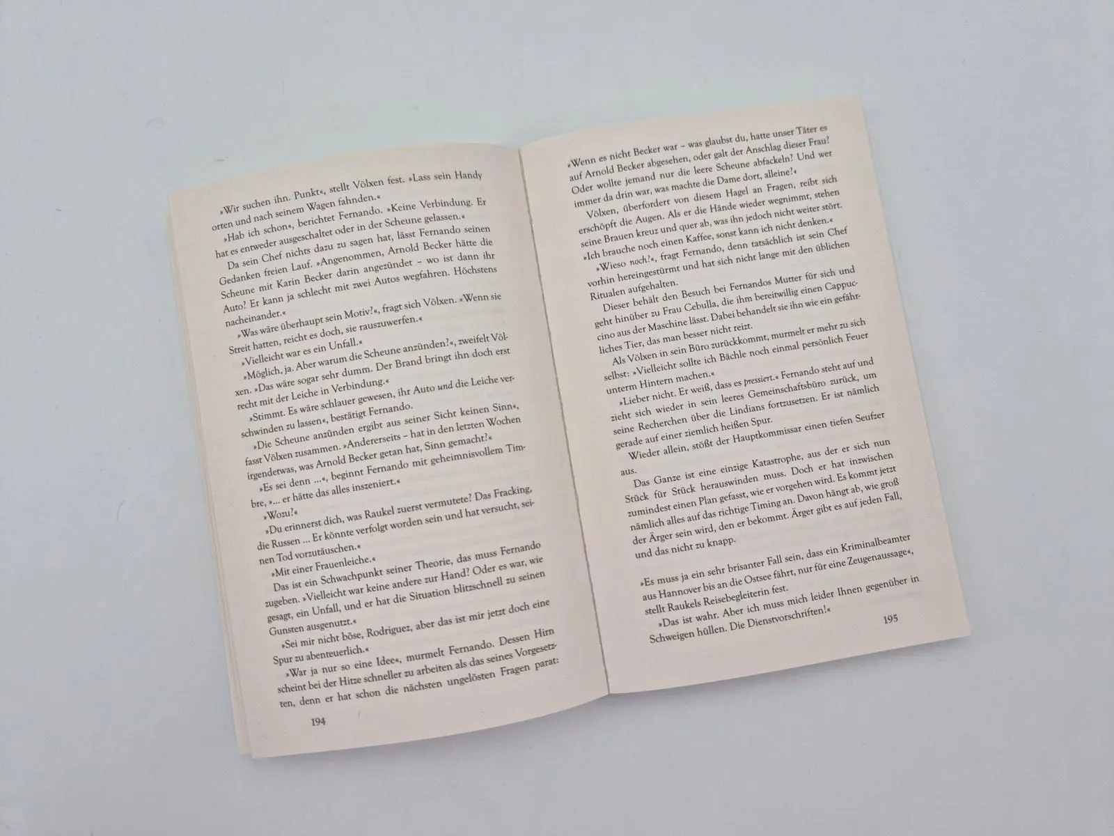 Bild: 9783492321532 | Deine Welt wird brennen | Susanne Mischke | Taschenbuch | 304 S.