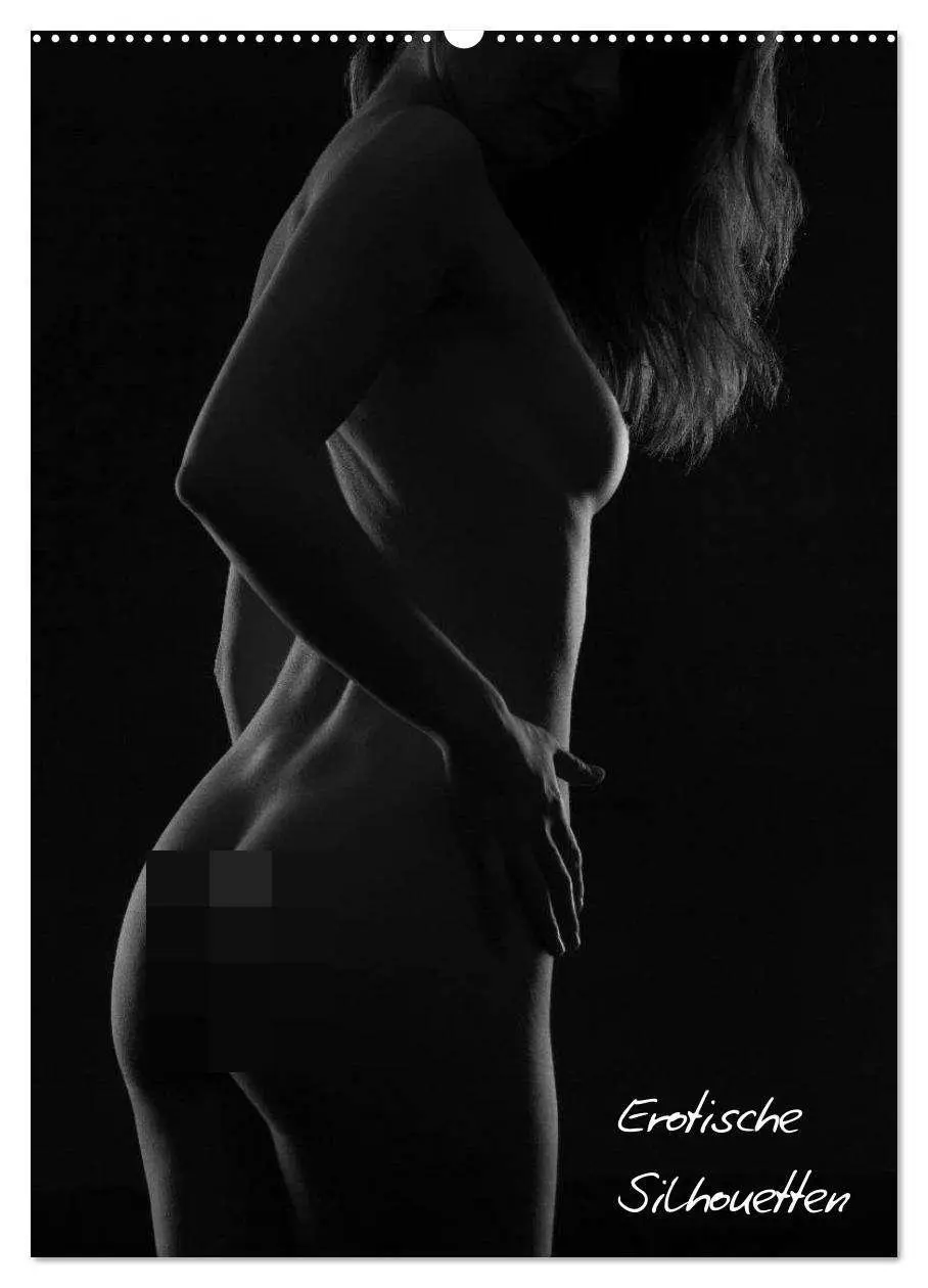 Cover: 9783516481532 | Erotische Silhouetten / CH-Version (Wandkalender 2026 DIN A2 hoch),...