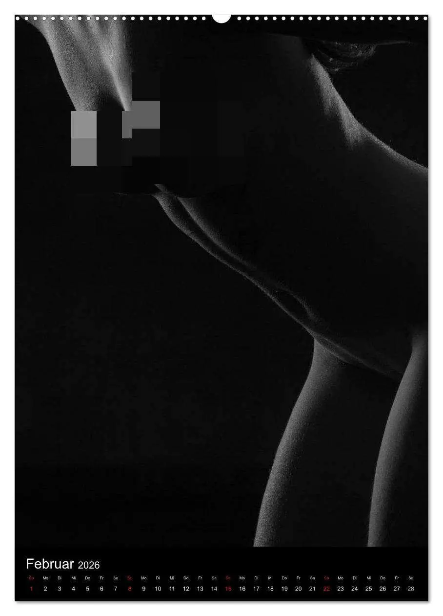 Bild: 9783516481532 | Erotische Silhouetten / CH-Version (Wandkalender 2026 DIN A2 hoch),...