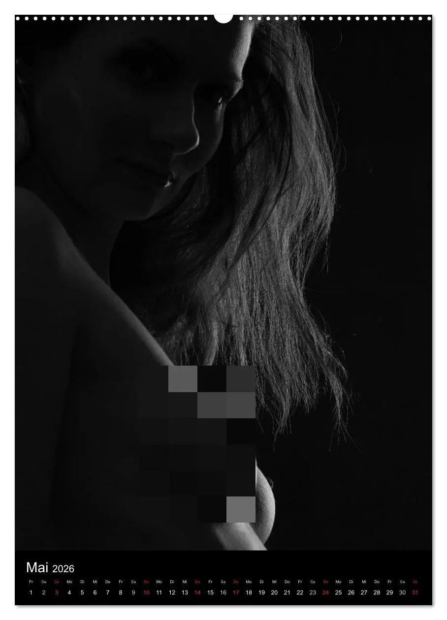 Bild: 9783516481532 | Erotische Silhouetten / CH-Version (Wandkalender 2026 DIN A2 hoch),...