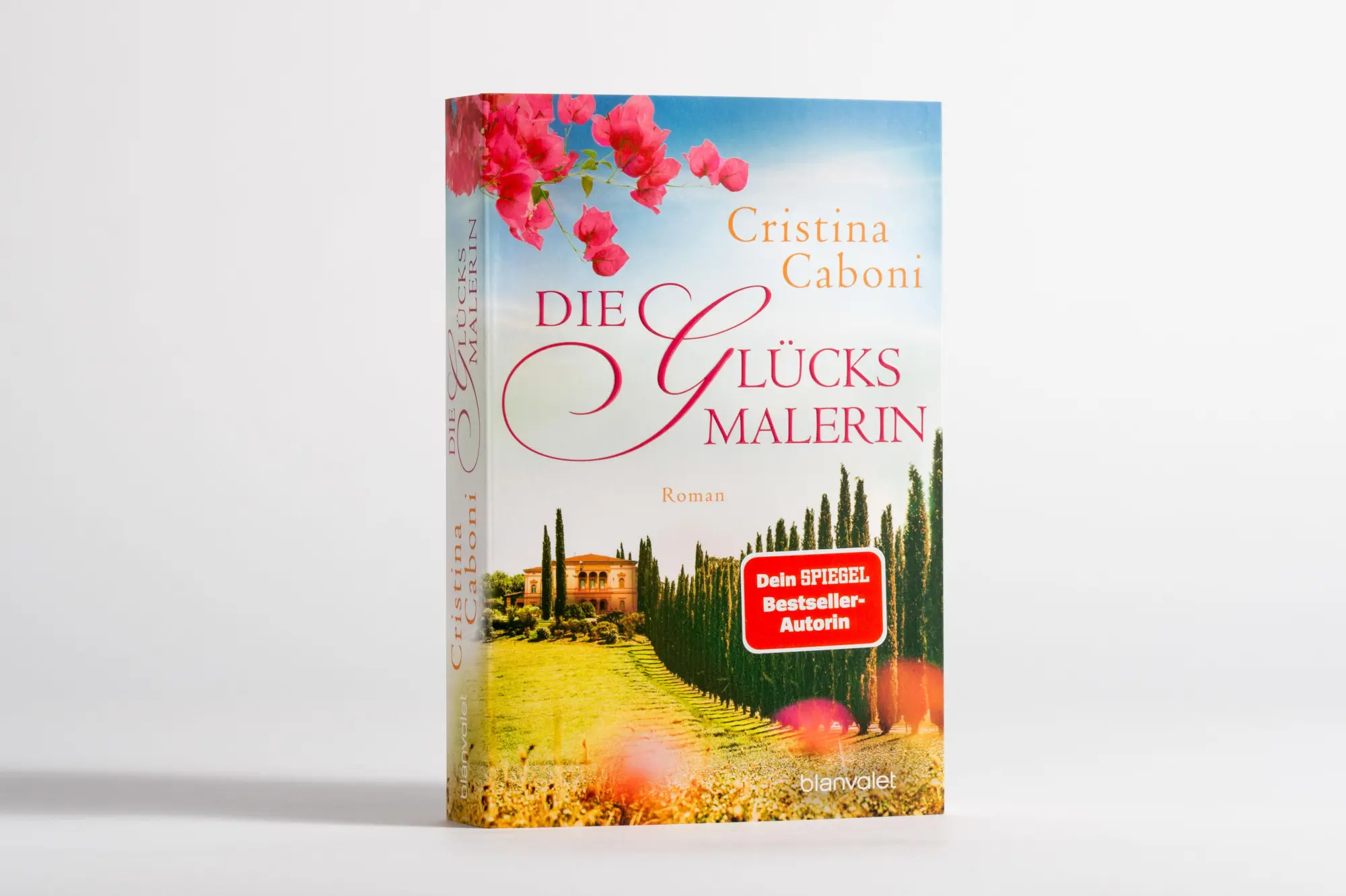 Bild: 9783734111532 | Die Glücksmalerin | Roman | Cristina Caboni | Taschenbuch | 384 S.