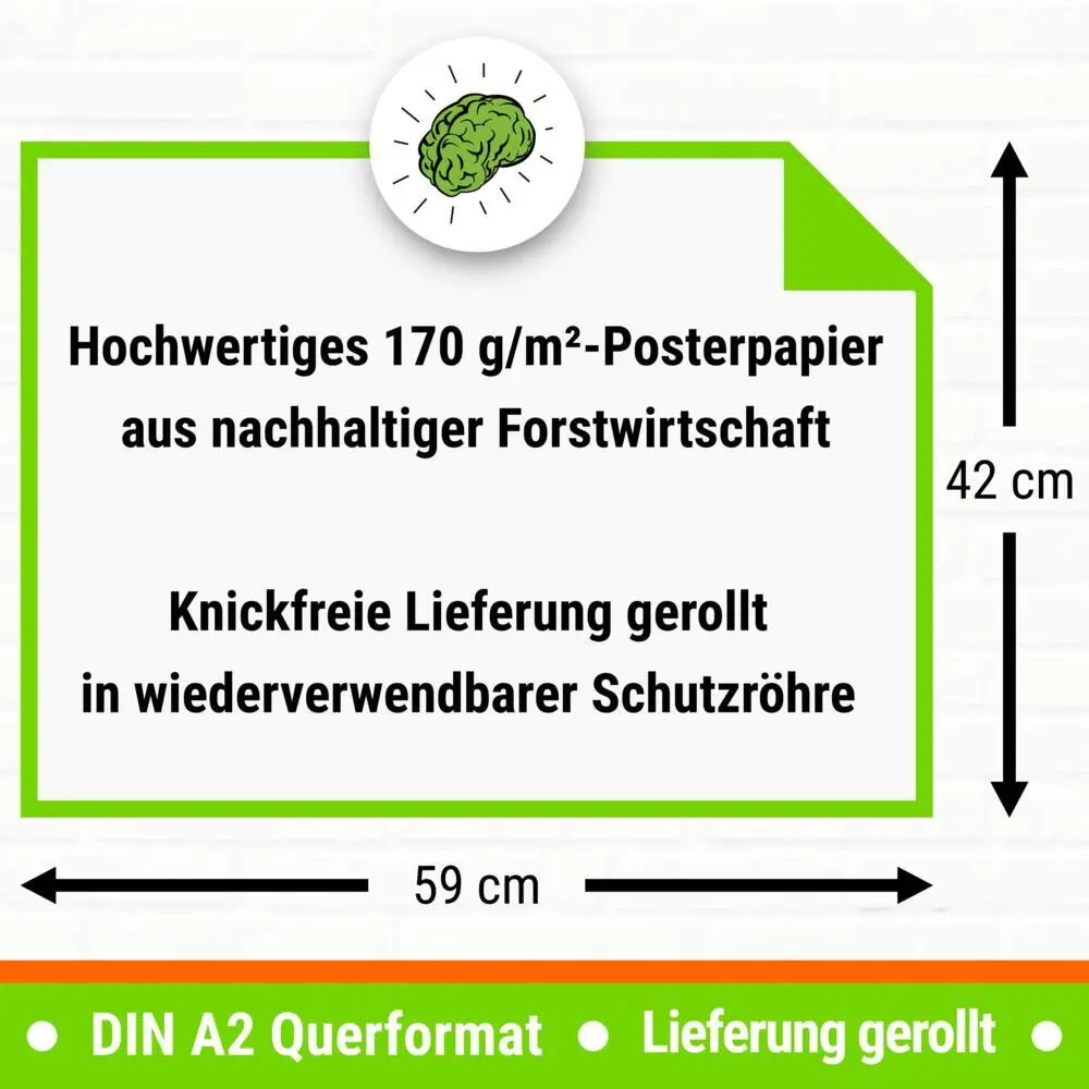 Bild: 9783954131532 | mindmemo Lernposter 2er Set - Die lateinischen Zeiten Grammatik...