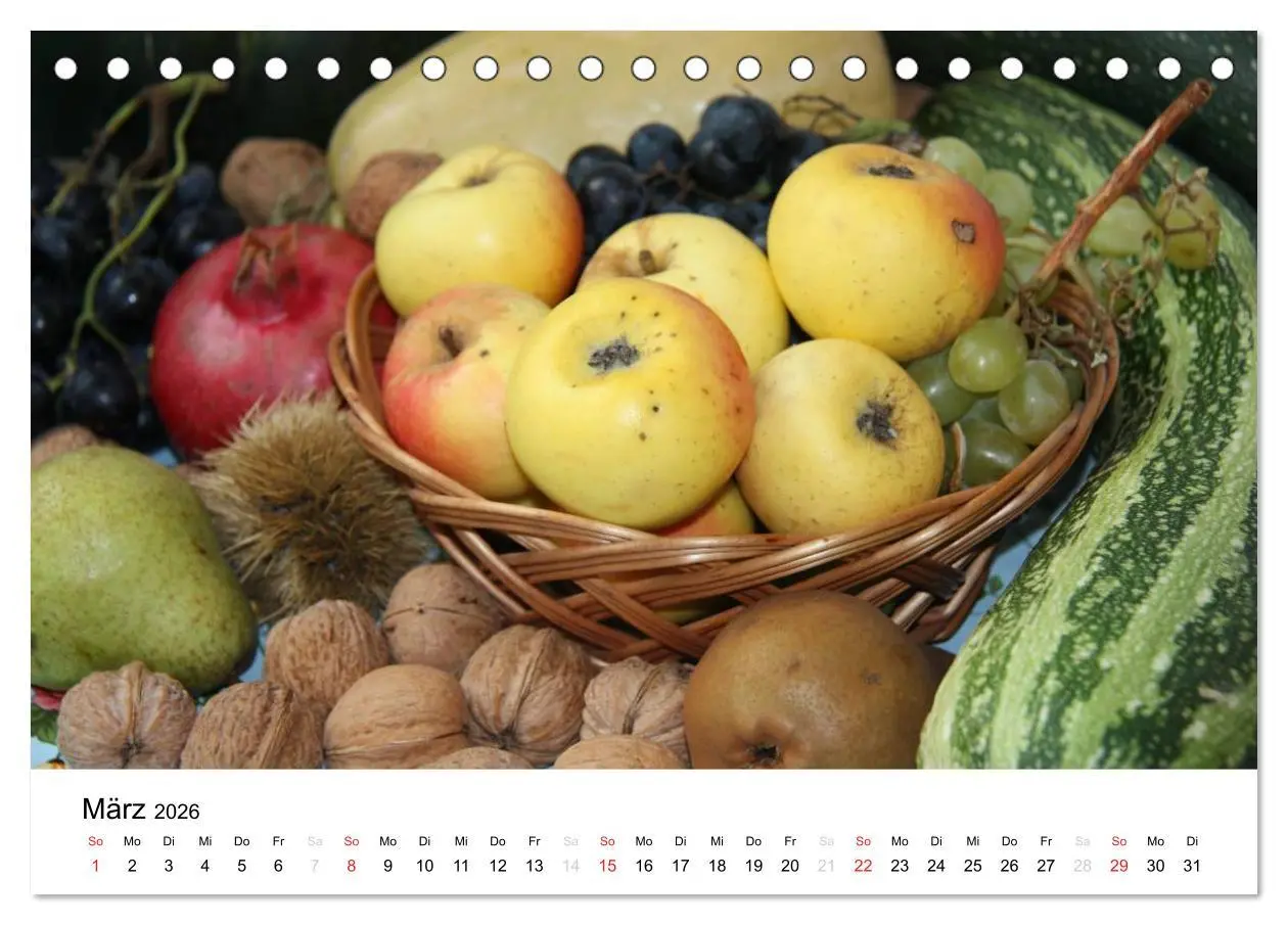 Bild: 9783516161632 | Alte Apfelsorten (Tischkalender 2026 DIN A5 quer), CALVENDO...