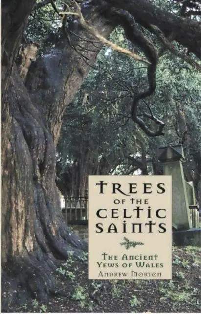 Cover: 9781845271732 | Trees of the Celtic Saints ? The Ancient Yews of Wales | Andrew Morton