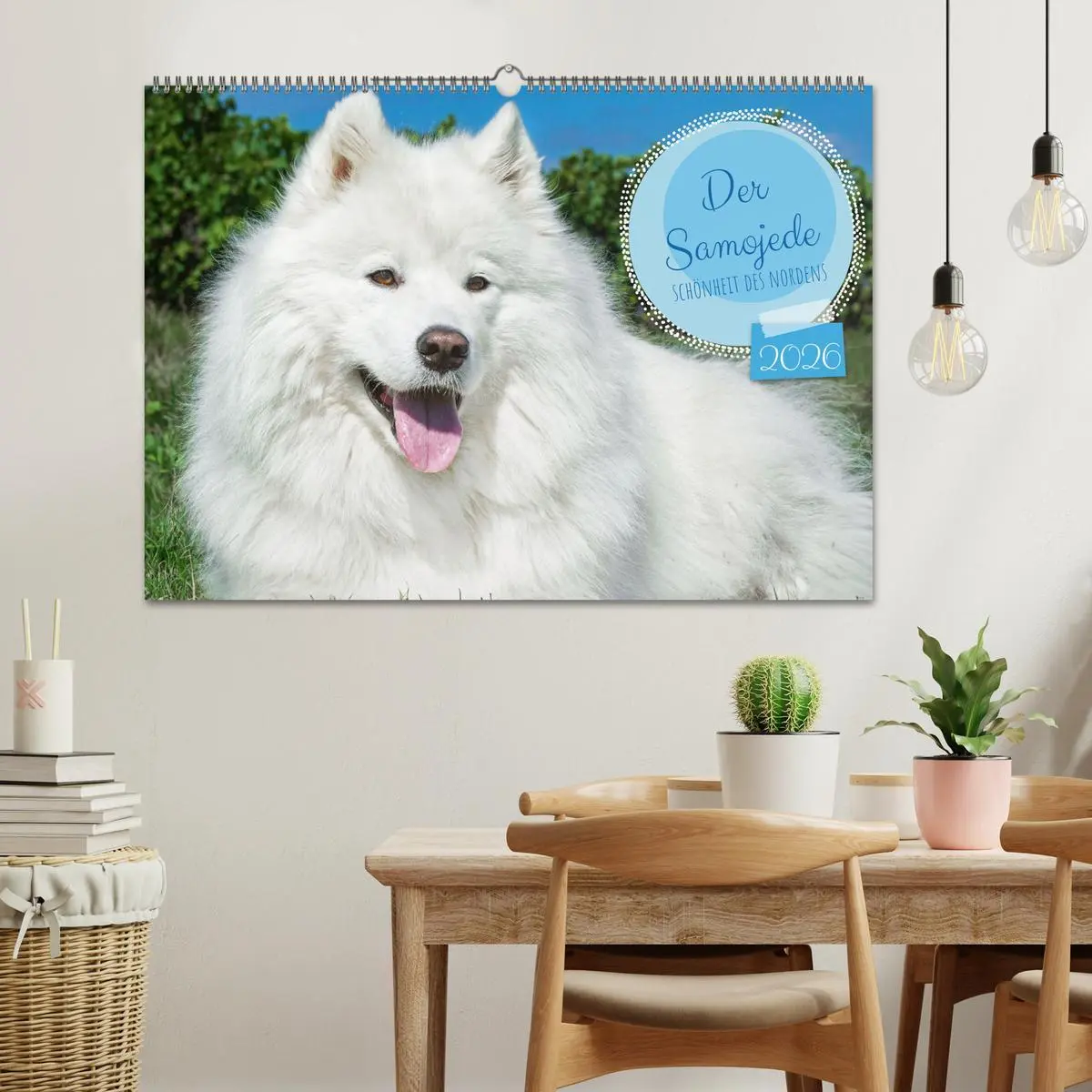 Bild: 9783457371732 | Der Samojede - Schönheit des Nordens (Wandkalender 2026 DIN A2...