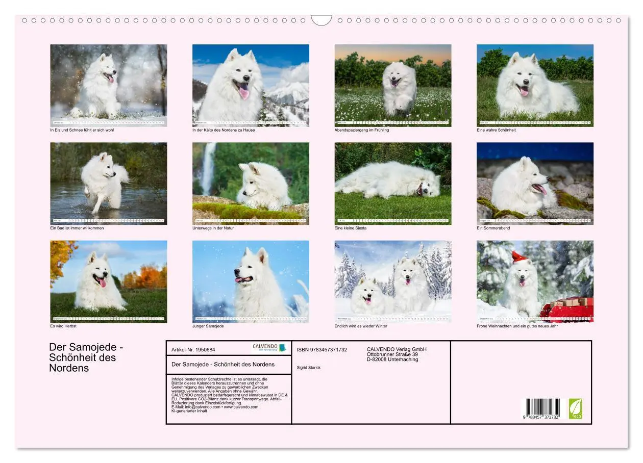 Bild: 9783457371732 | Der Samojede - Schönheit des Nordens (Wandkalender 2026 DIN A2...
