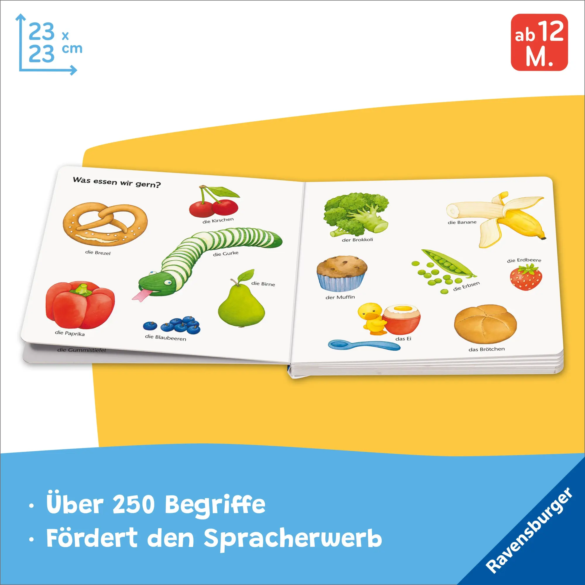 Bild: 9783473421732 | Mein erstes großes Wörterbuch | Hannelore Dierks | Buch | 36 S. | 2025