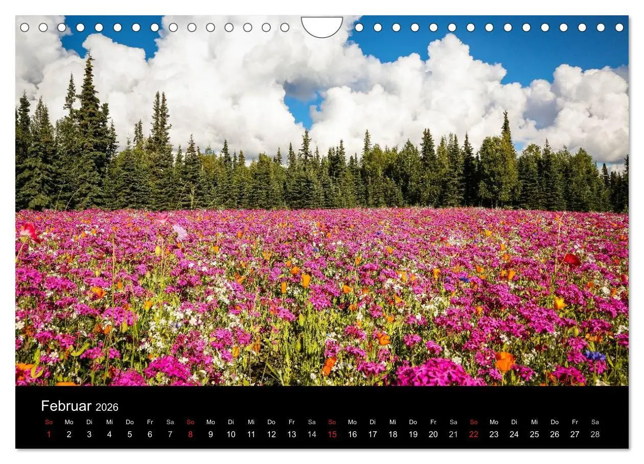 Bild: 9783516081732 | Alaska 2026 Wildes Land am Ende der Welt (Wandkalender 2026 DIN A4...