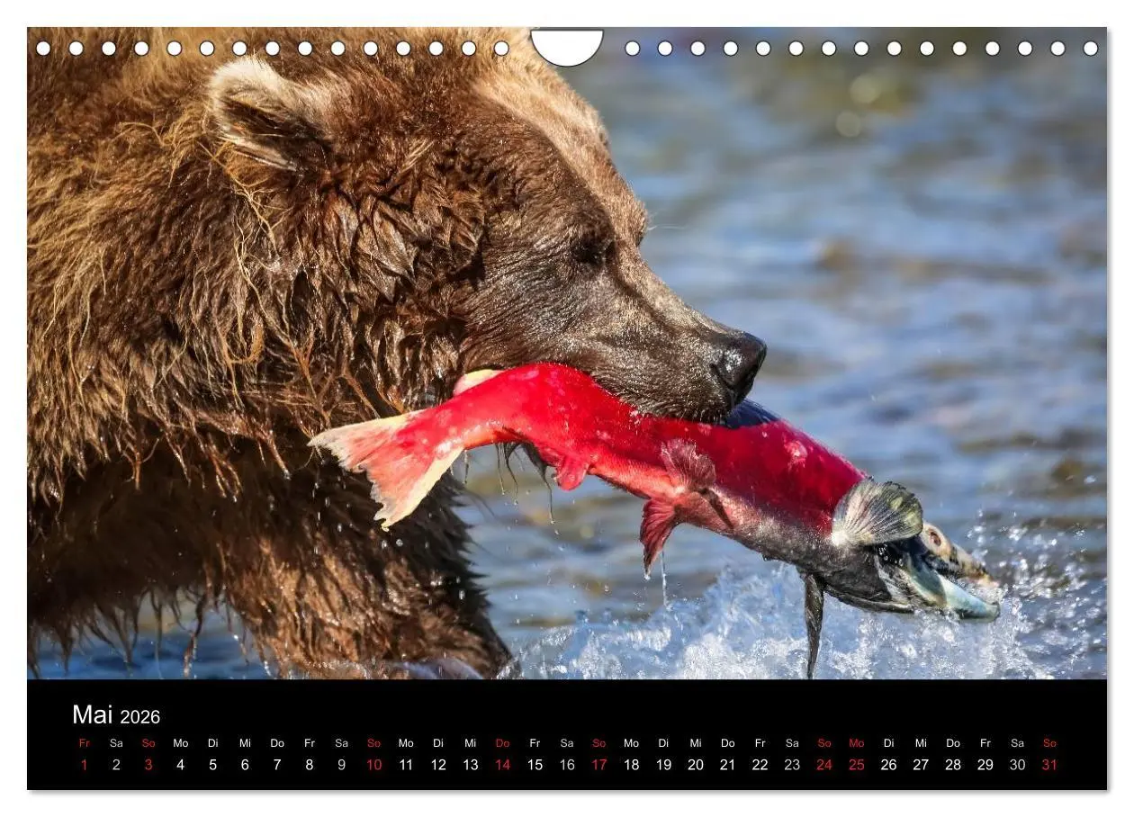 Bild: 9783516081732 | Alaska 2026 Wildes Land am Ende der Welt (Wandkalender 2026 DIN A4...
