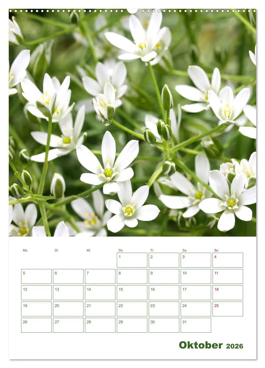 Bild: 9783516391732 | Weiße Blüten im Grünen (Wandkalender 2026 DIN A2 hoch), CALVENDO...