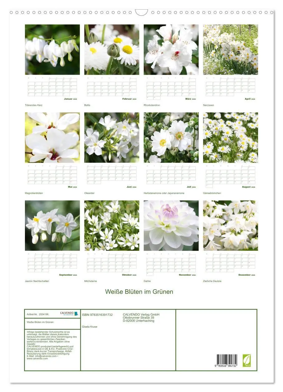 Bild: 9783516391732 | Weiße Blüten im Grünen (Wandkalender 2026 DIN A2 hoch), CALVENDO...