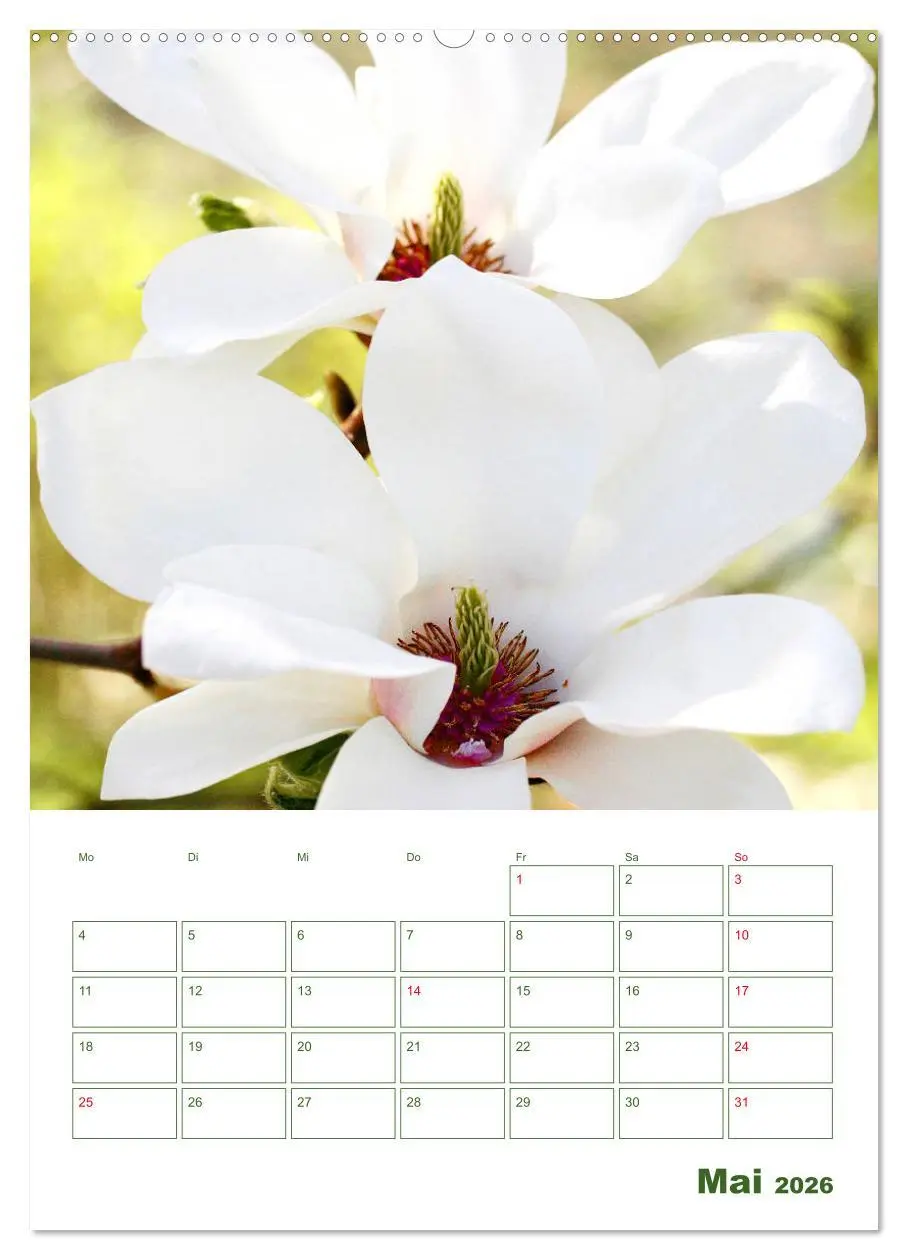 Bild: 9783516391732 | Weiße Blüten im Grünen (Wandkalender 2026 DIN A2 hoch), CALVENDO...