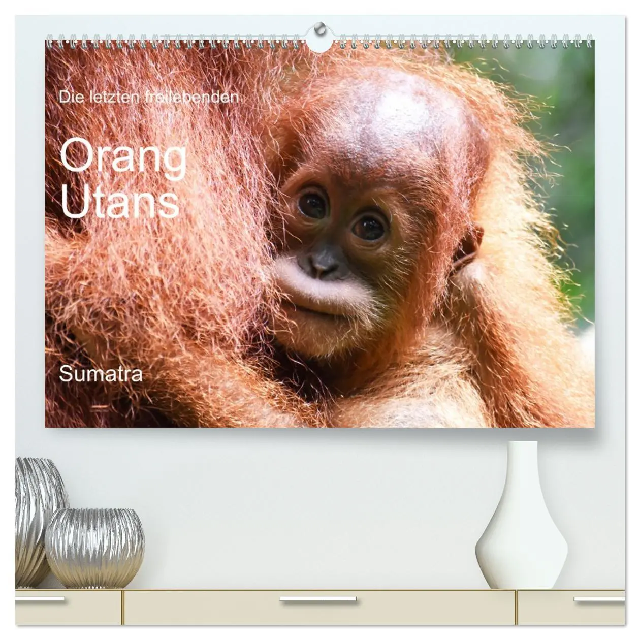 Cover: 9783457671832 | Die letzten freilebenden Orang Utans (hochwertiger Premium...