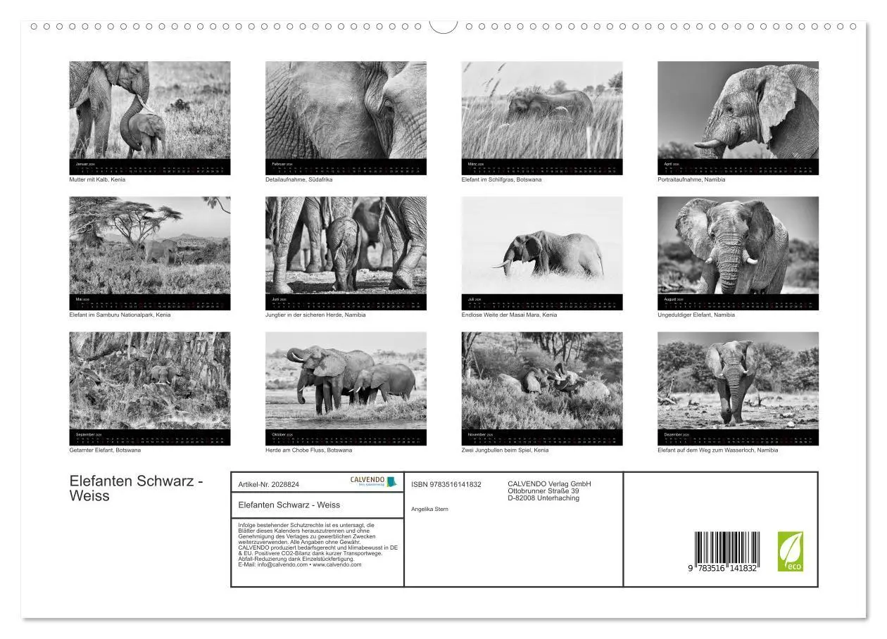 Bild: 9783516141832 | Elefanten Schwarz - Weiss (hochwertiger Premium Wandkalender 2026...