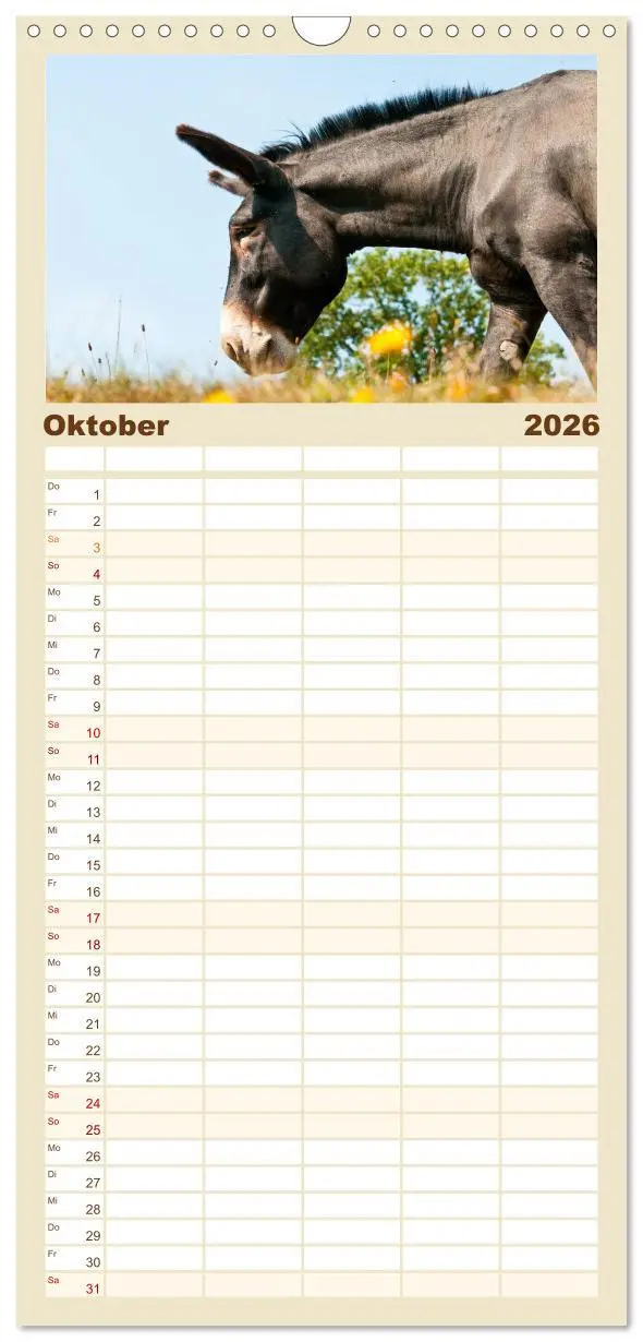 Bild: 9783516521832 | Familienplaner 2026 - Esel - Sixtus Loreley mit 5 Spalten...